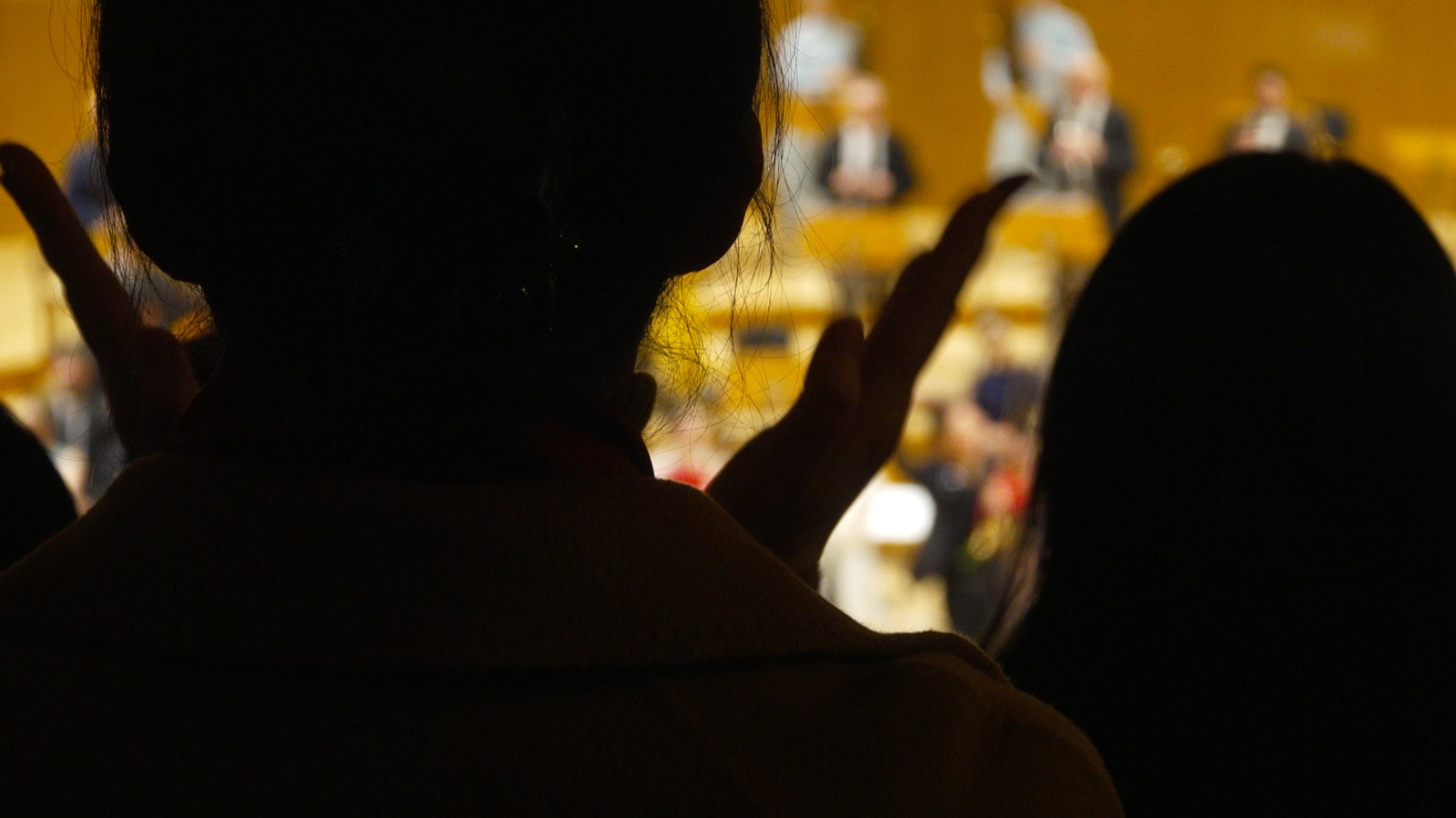 A collaboration worthy of a standing ovation. /CGTN