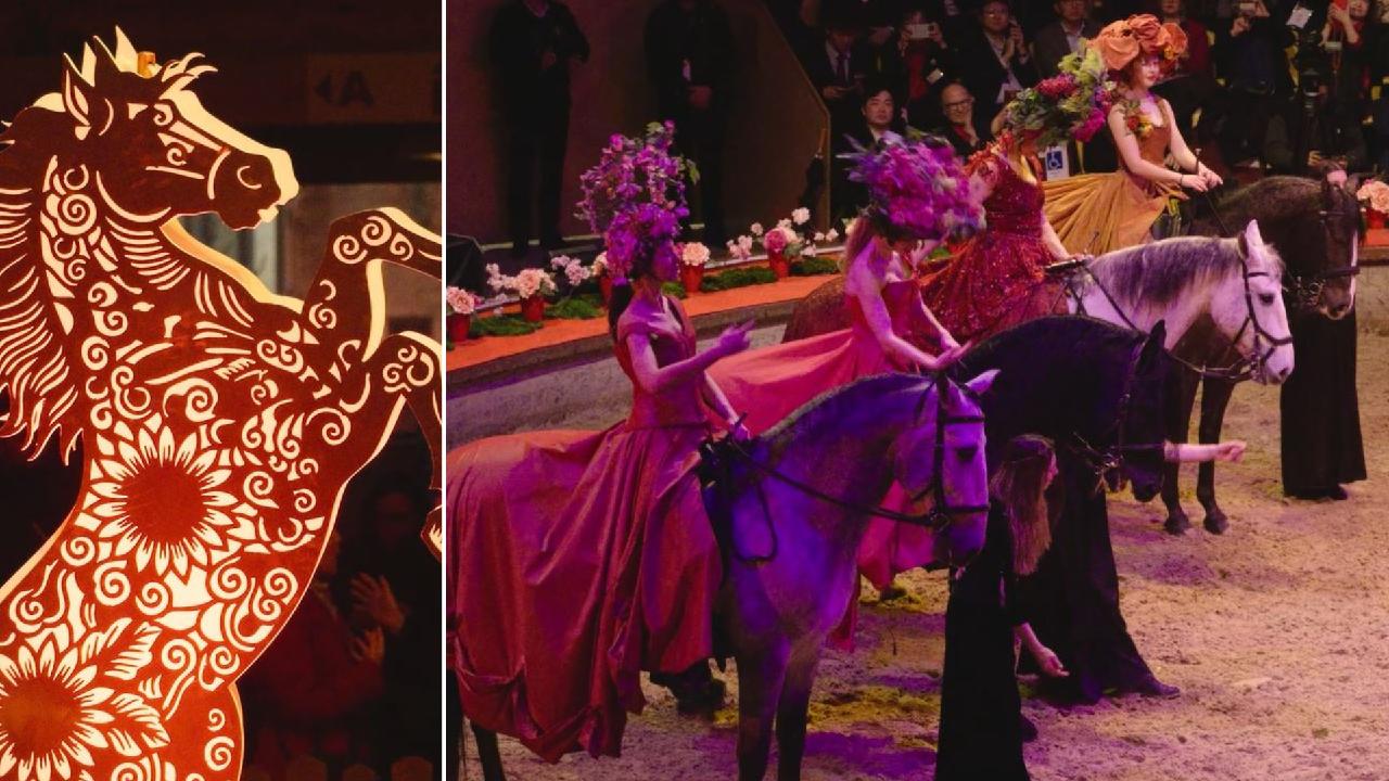 Horses dazzle in Chantilly as French and Chinese culture unite