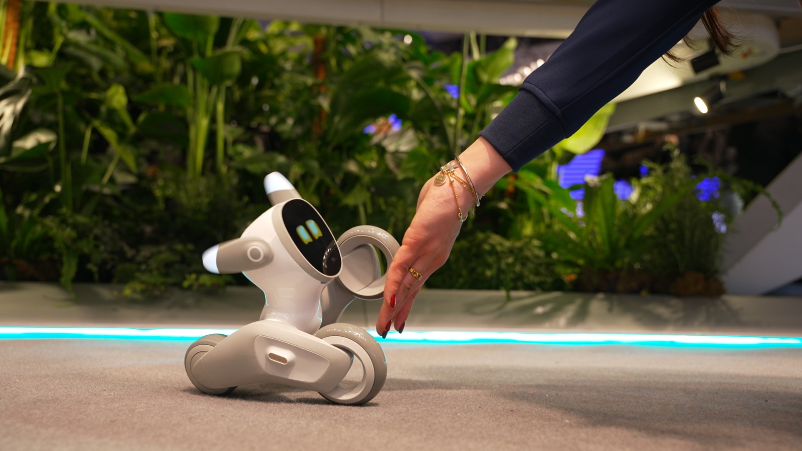 Robots come in all shapes and sizes and are ubiquitous at the Mobile World Congress tech show. /CGTN