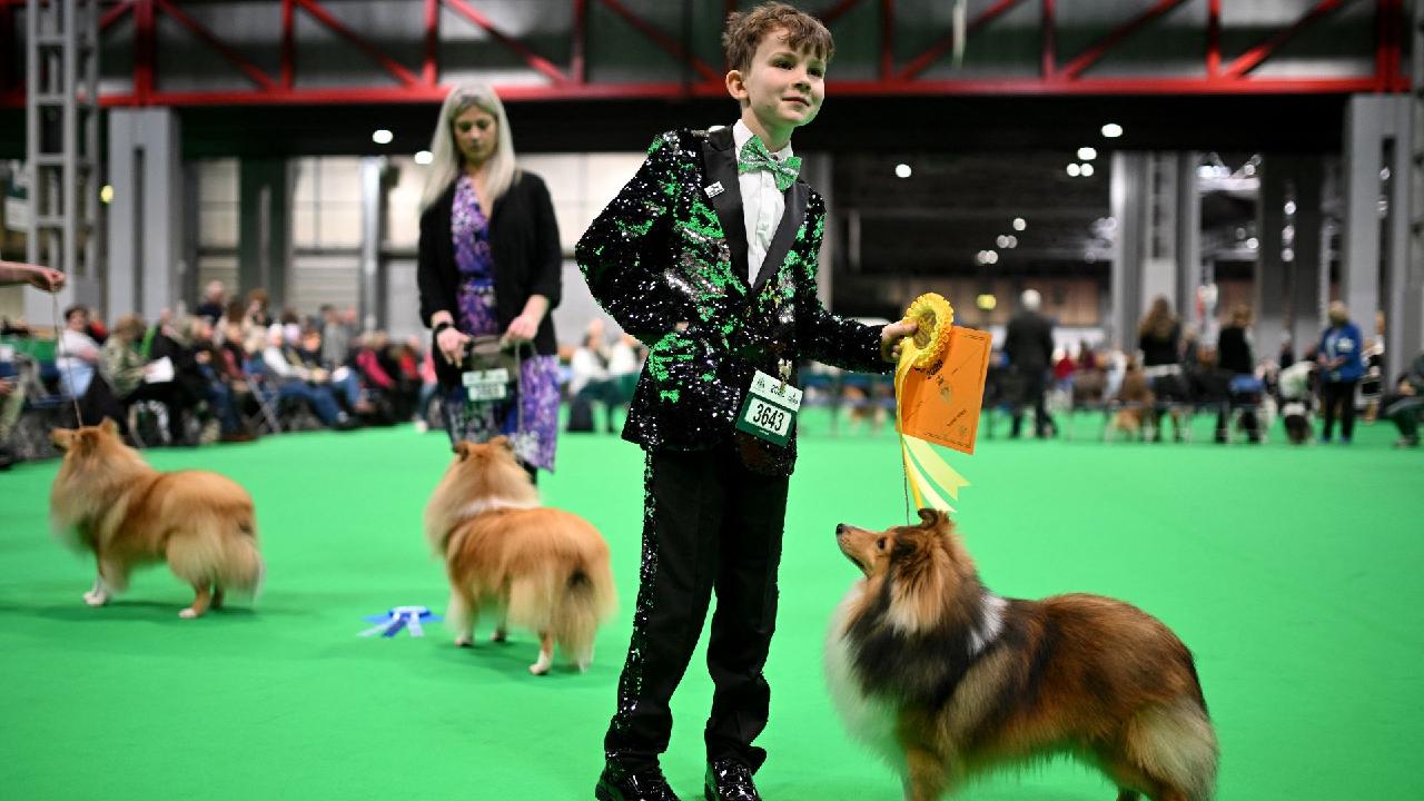 UK's Crufts dog show shows growing global appeal