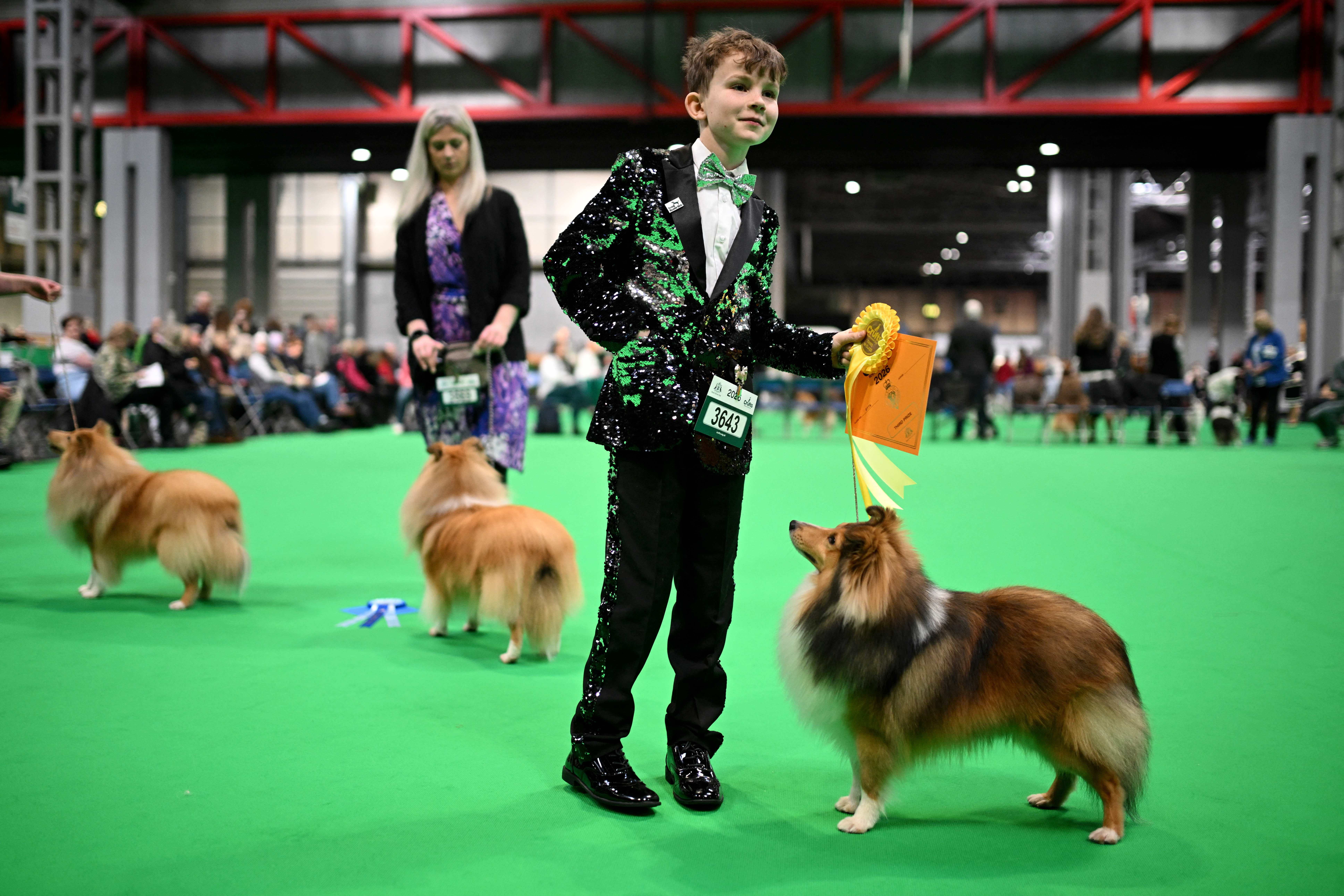 A young handler holds a rosette and a Shetland sheepdog at Crufts. /Oli Scarff/AFP

