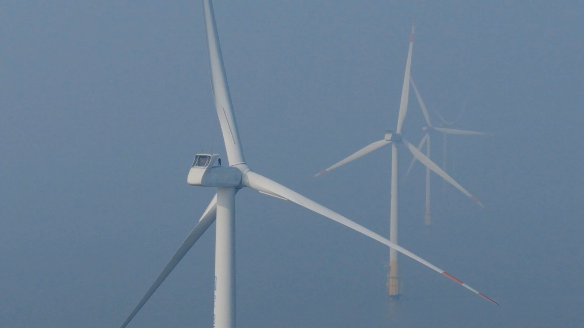 Blades can be enormous, as you can gauge by comparison with the quivering correspondent on the closest turbine. /CGTN