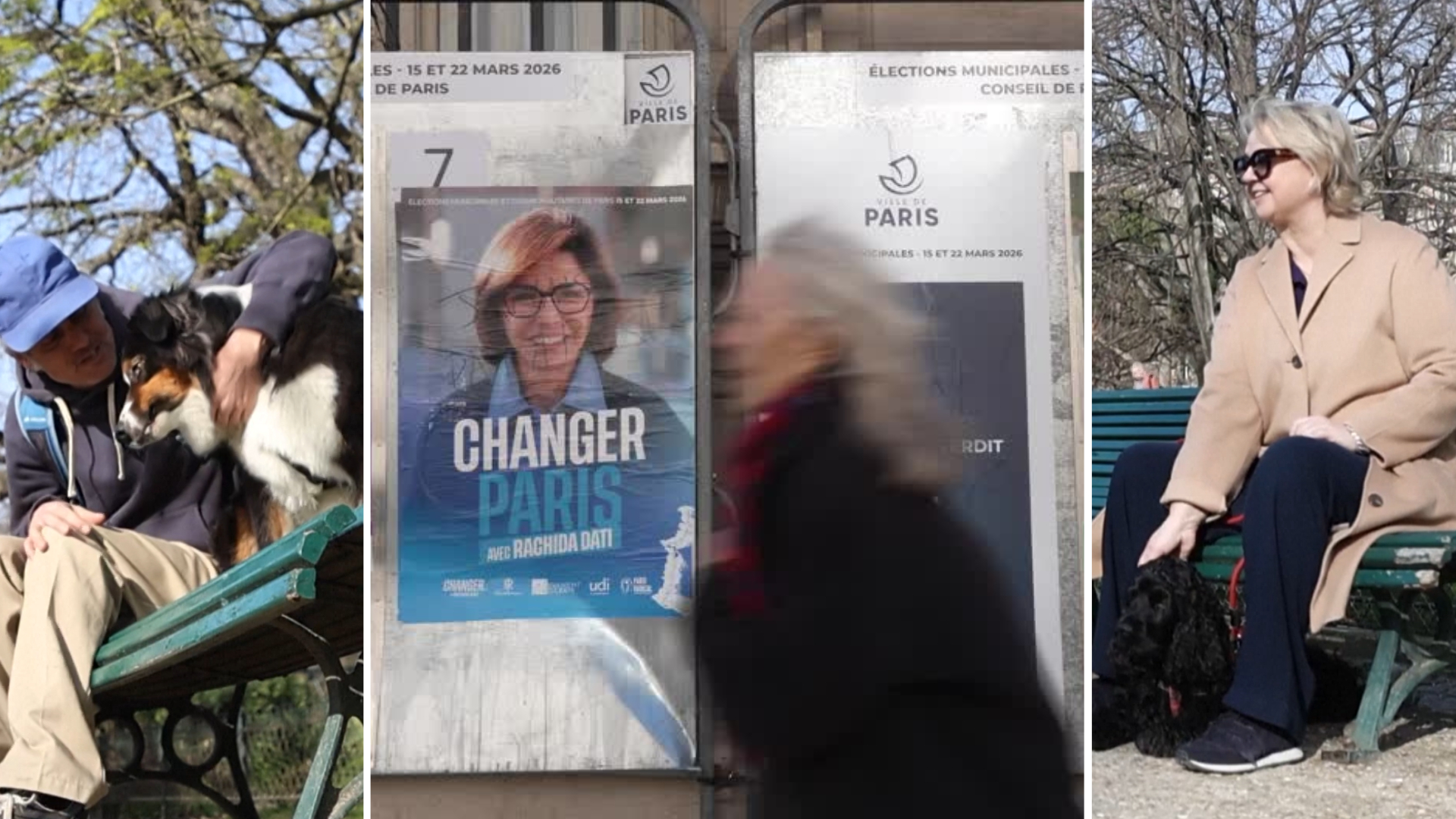 Dogs have become a key part of campaigning in the race to become the next Paris Mayor. /Reuters