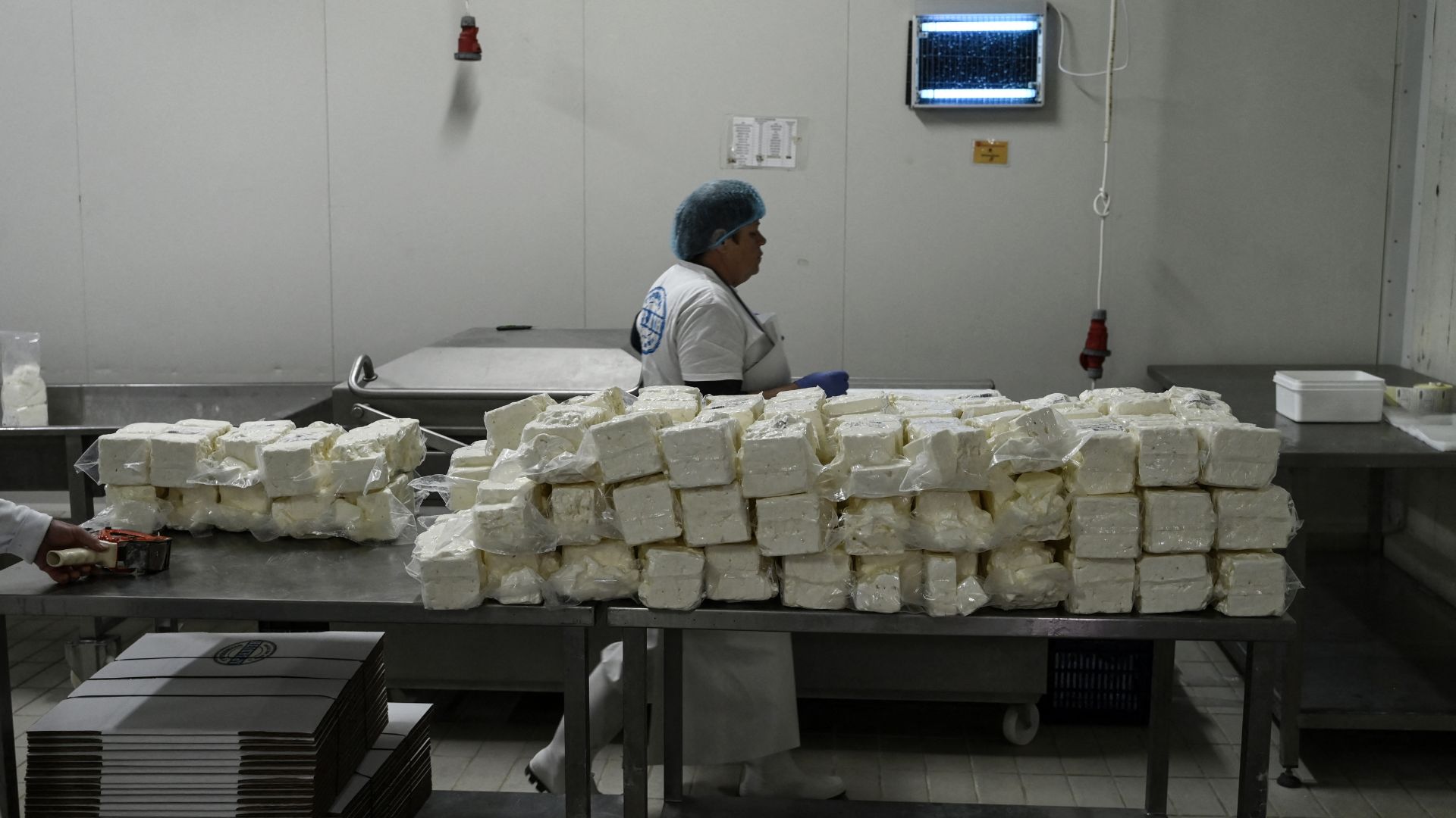 A feta factory in Thessaloniki. Between August 2024 and early March 2026, more than 480,000 sheep and goats have been slaughtered because of a pox pandemic, threatening one of Greece's premier exports. /Sakis Mitrolidis/AFP
