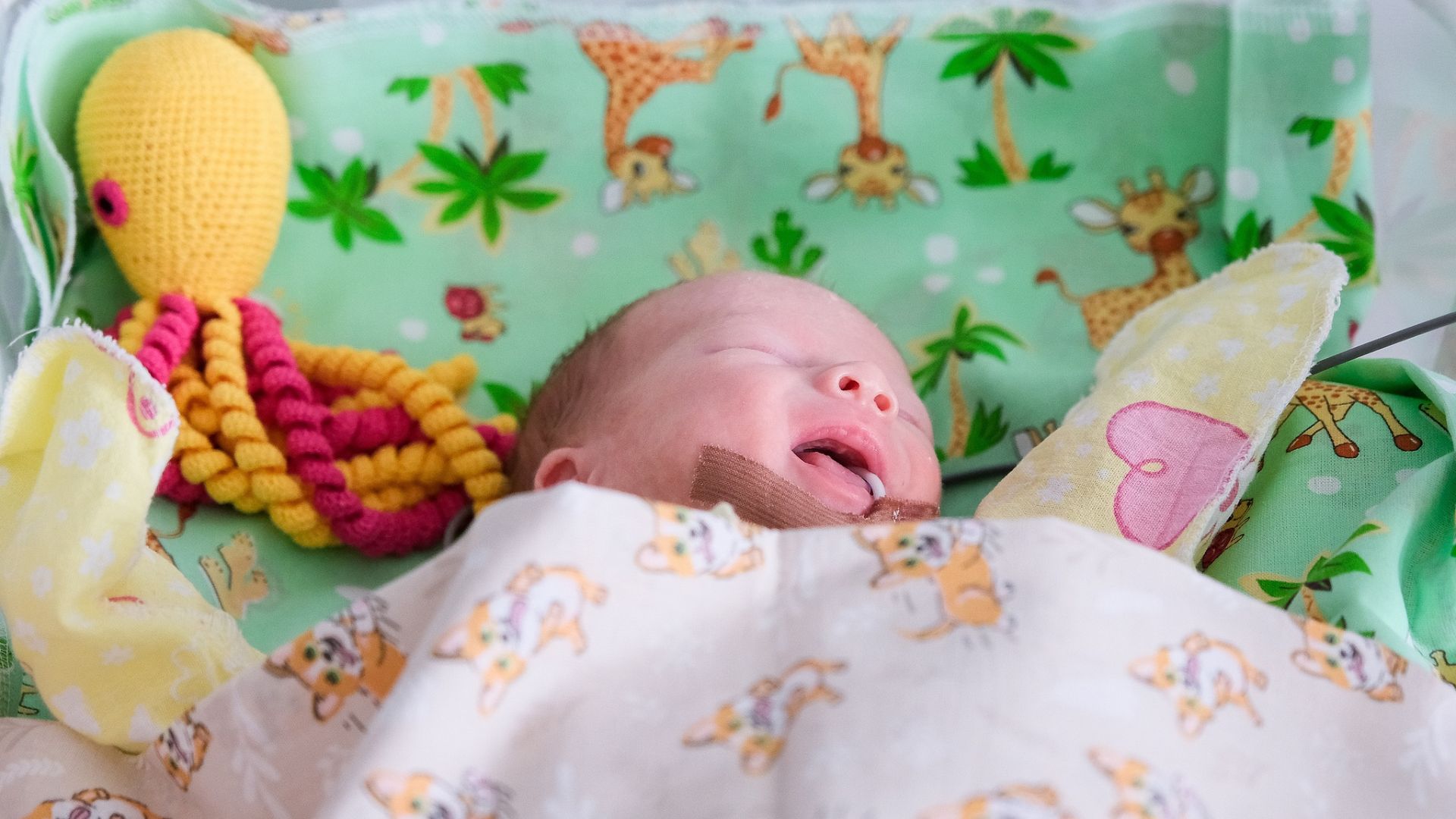 Babies: There still aren't enough of them being born in Italy. /Dmitry Dadonkin/TASS/CFP