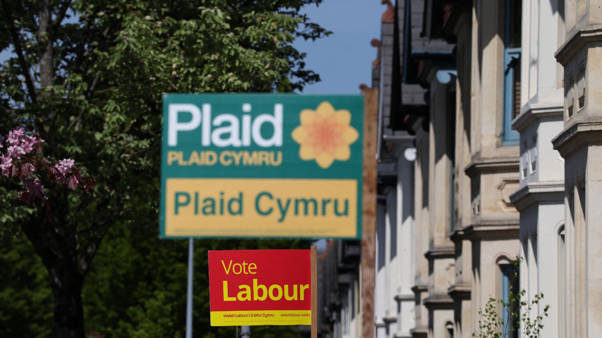 Welsh nationalist party Plaid Cymru have high hopes in the Senydd. /Darren Staples/AFP