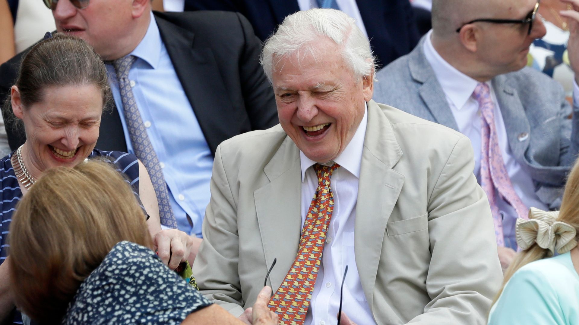 David Attenborough takes his seat in the Royal Box on Centre Court at the Wimbledon Tennis Championships in 2018. /Kirsty Wigglesworth/AP