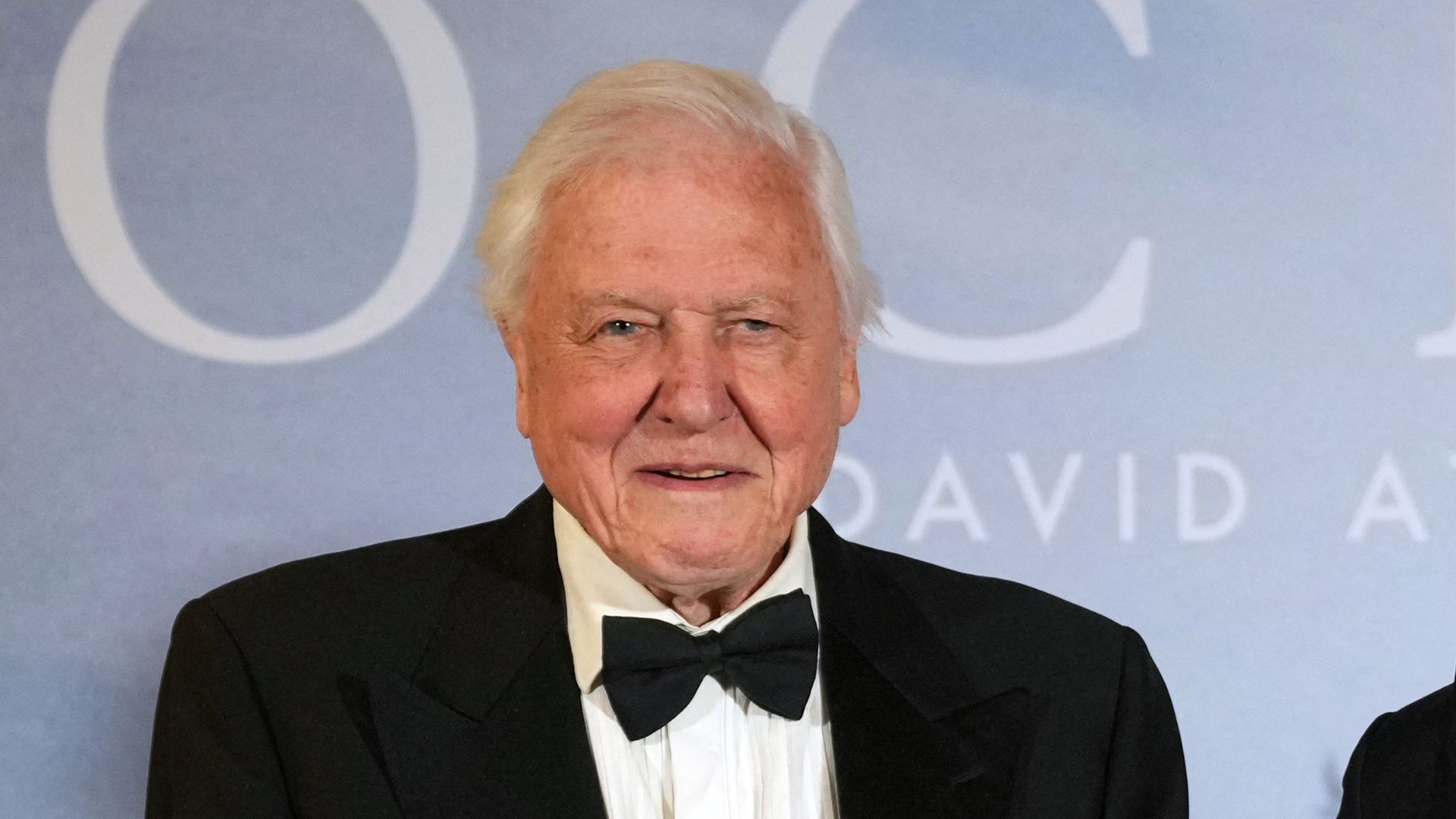 Sir David Attenborough at 100: adored in UK and China alike