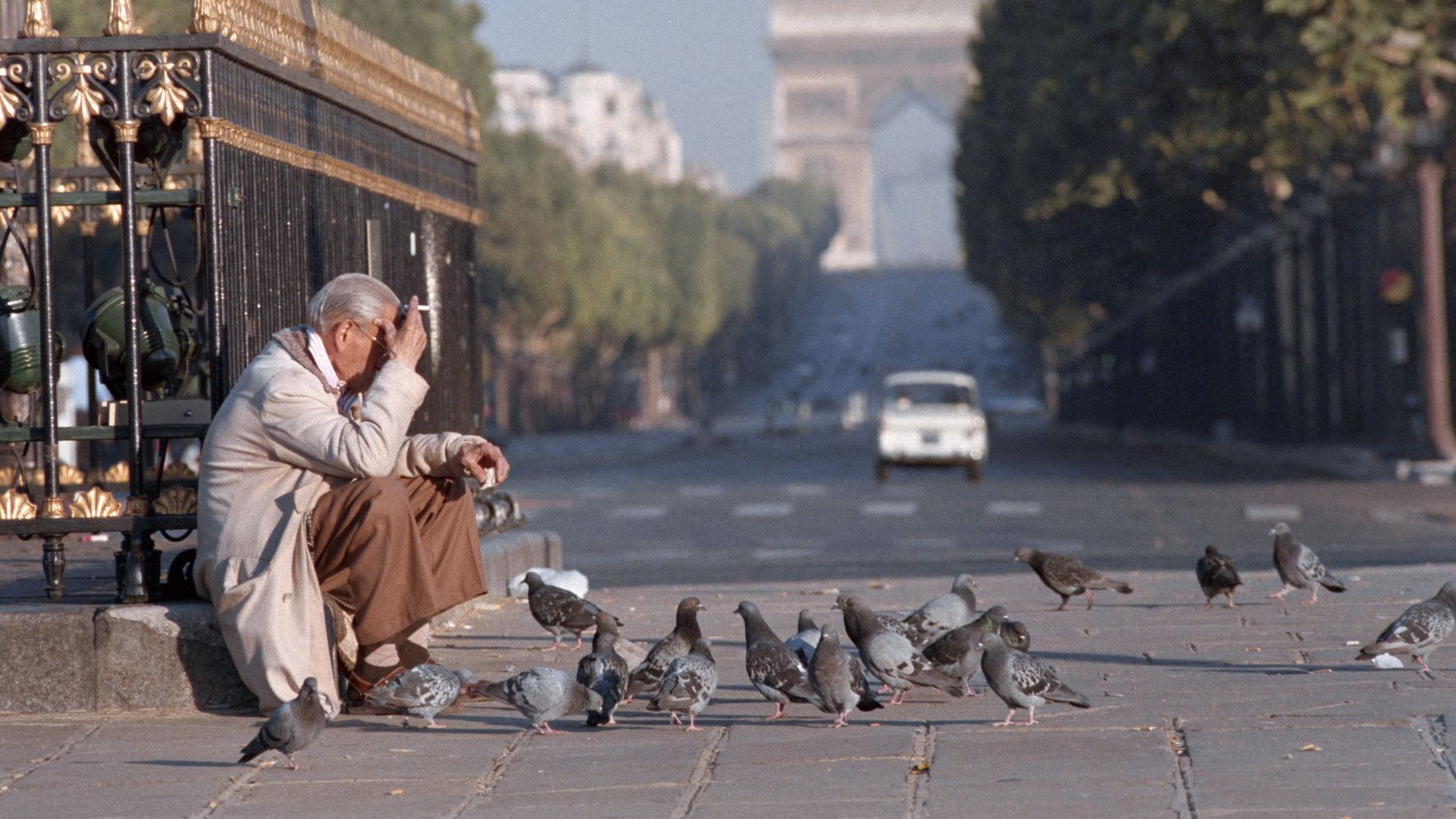 Few of us are affectionate anymore to pigeons which we increasingly regard as pests. /Pierre Guillaud/AFP archive
