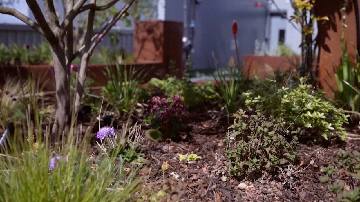 This outdoor critical care unit will help the hospital meet its goal of caring for the mind as well as the body. /Reuters