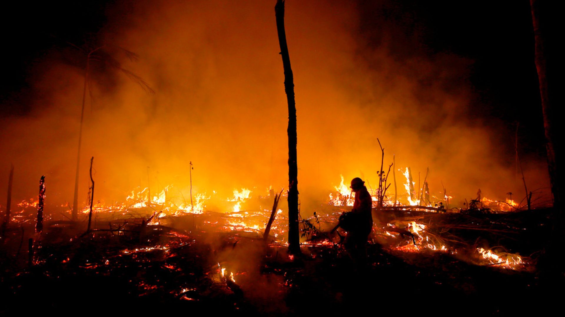 Firefighters work to put out a blaze in the Amazon forest during a drought and high temperatures in Amazonas state, Brazil. /Edmar Barros/AP

