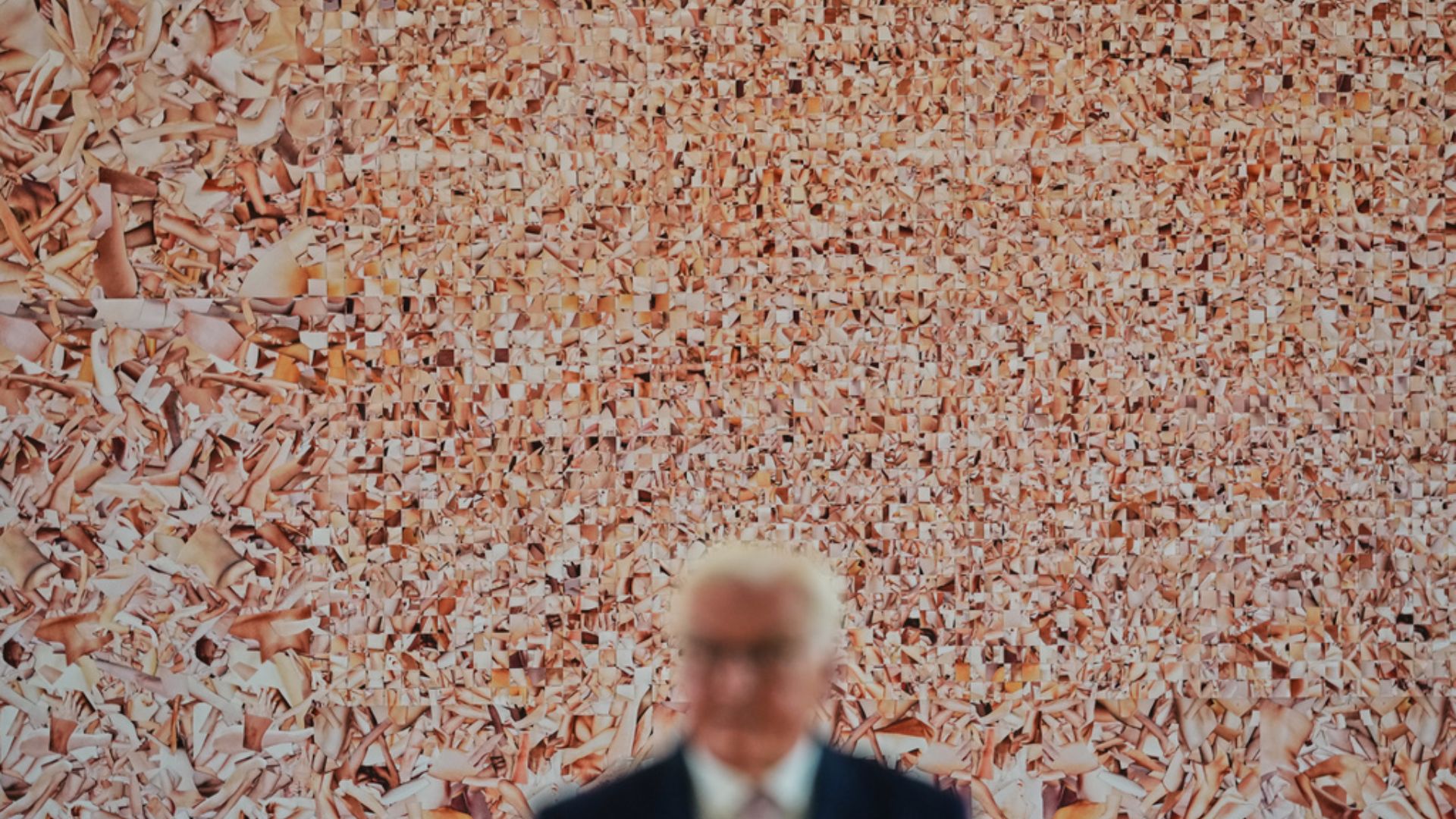 German President Frank-Walter Steinmeier speaks in front of the Monica Bonvicini collage 'Hard String' at Bellevue Palace. /Markus Schreiber/AP Photo