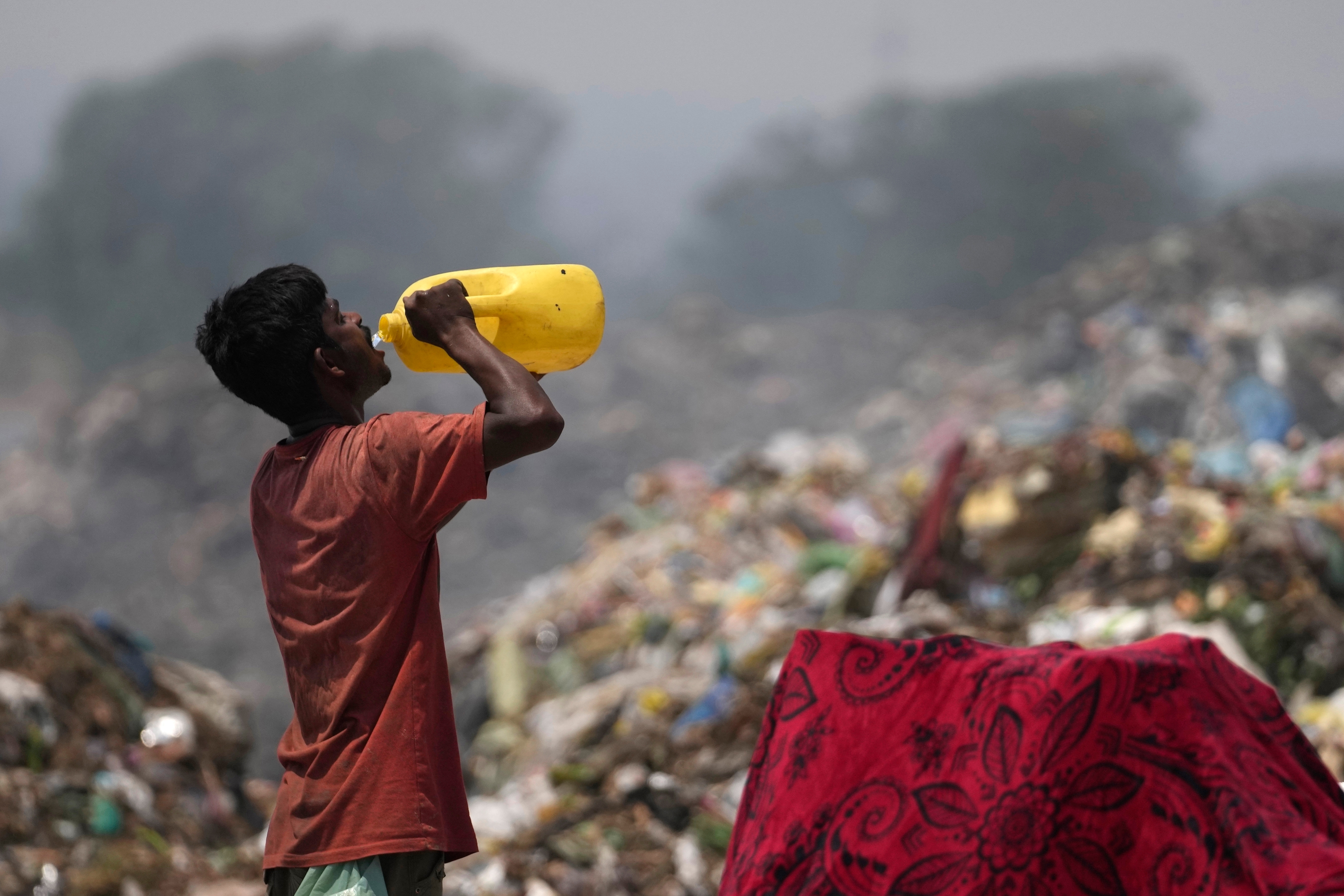 A waste picker drinks water while working during a heat wave at a garbage dump on the outskirts of Jammu, India. /Channi Anand/AP