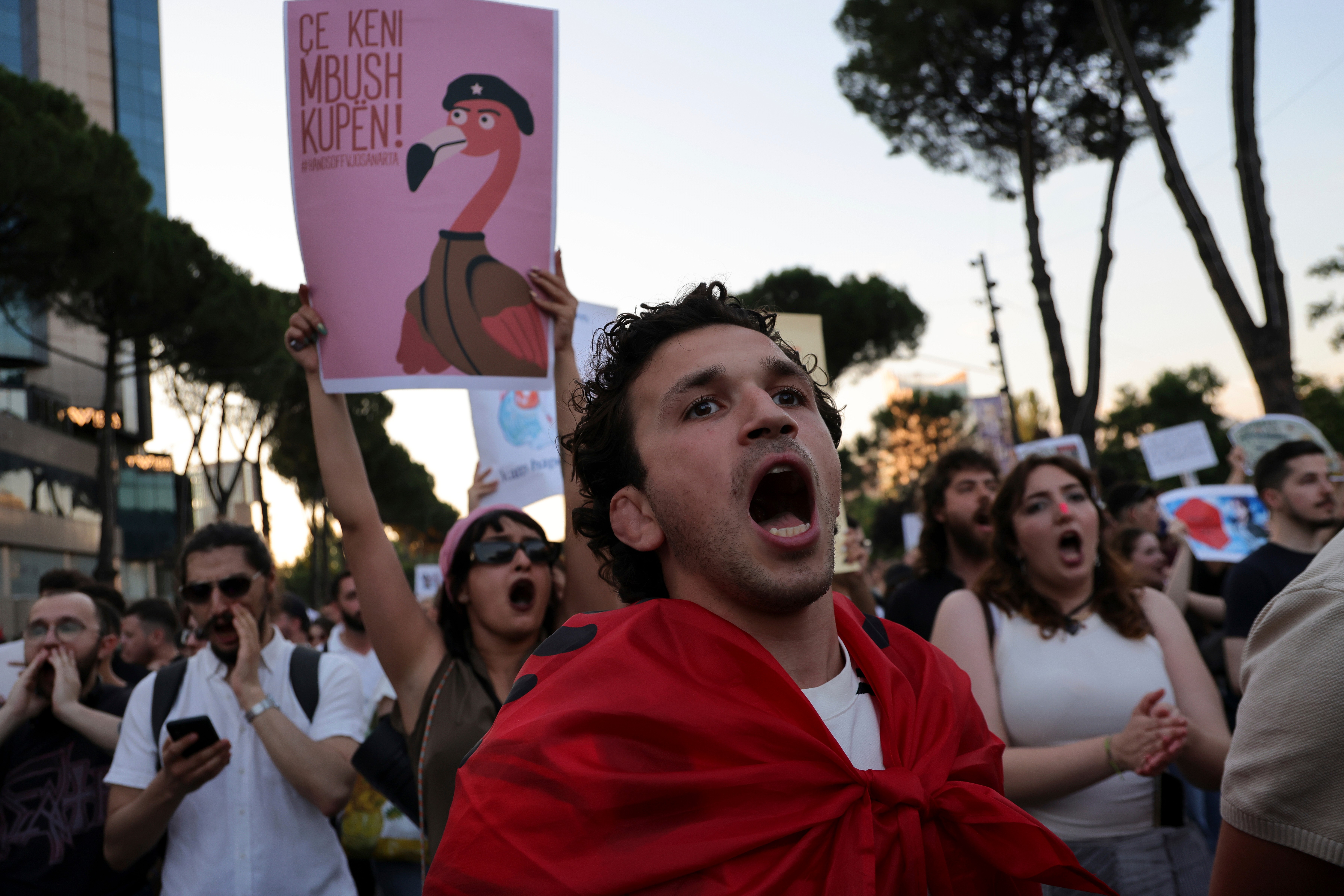 Thousands of protesters are taking to the streets in nightly protests, blowing whistles and holding up cardboard cut-outs of flamingos. /Hameraldi Agolli/AP