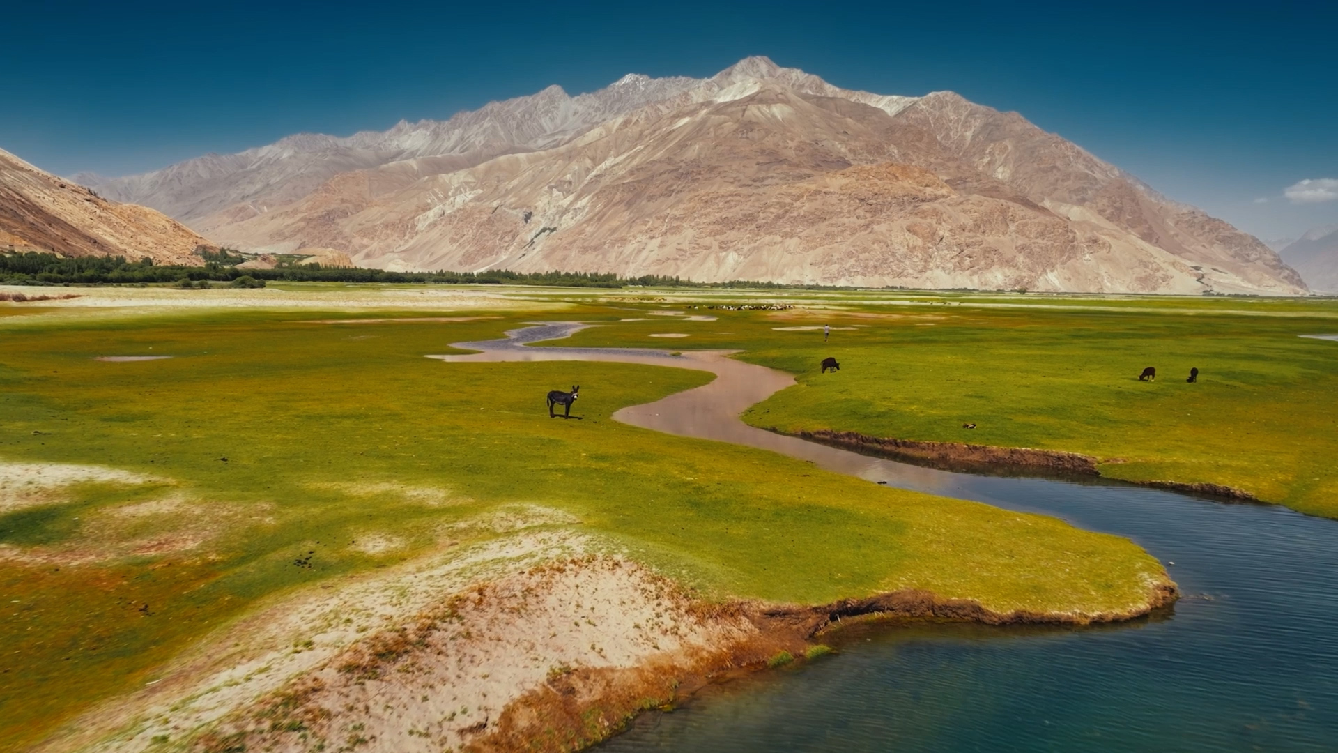 Spanning approximately 15,000 kilometres across 12 countries, the initiative brings together academics, business leaders and policymakers to foster dialogue and strengthen ties across the region.