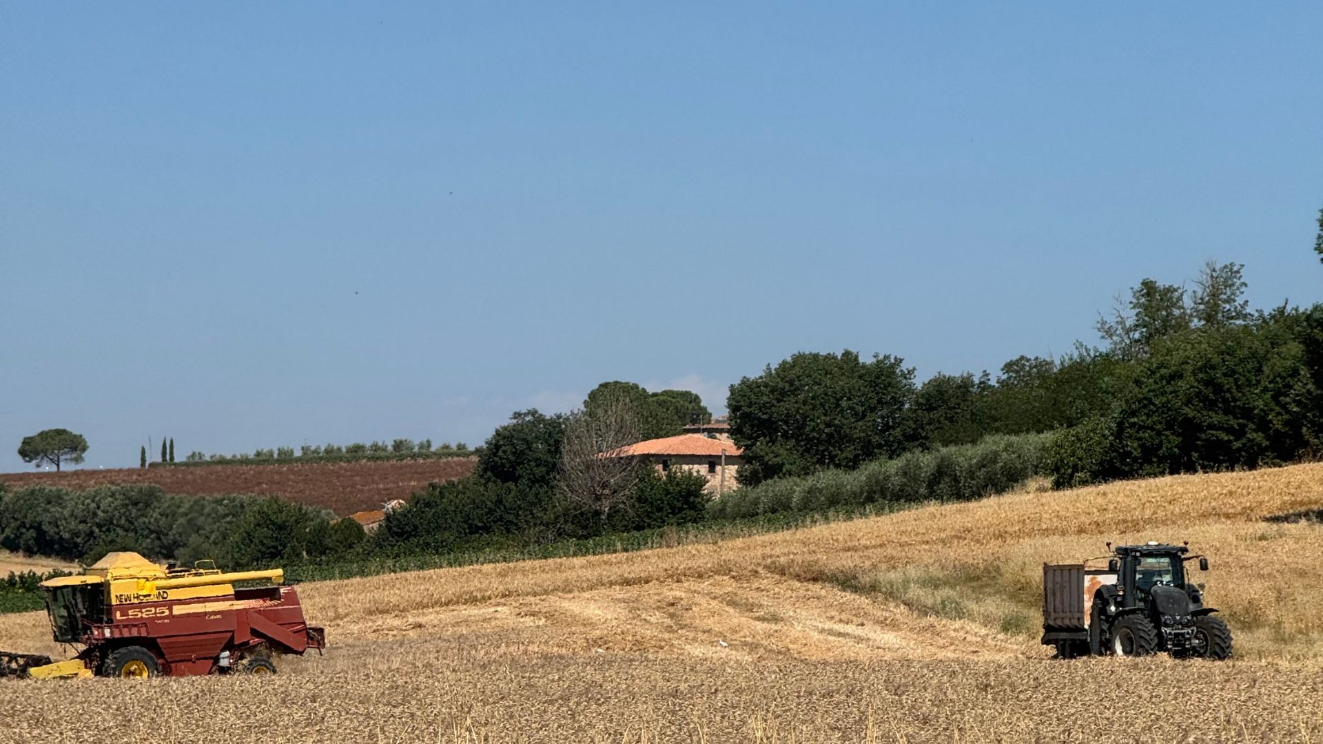 Known as the 'green heart' of Italy, Umbria produces a bounty of truffles, high-quality olive oil, lentils, cereals and wines. However these products could be at risk as extreme heat affects harvests. /CGTN
