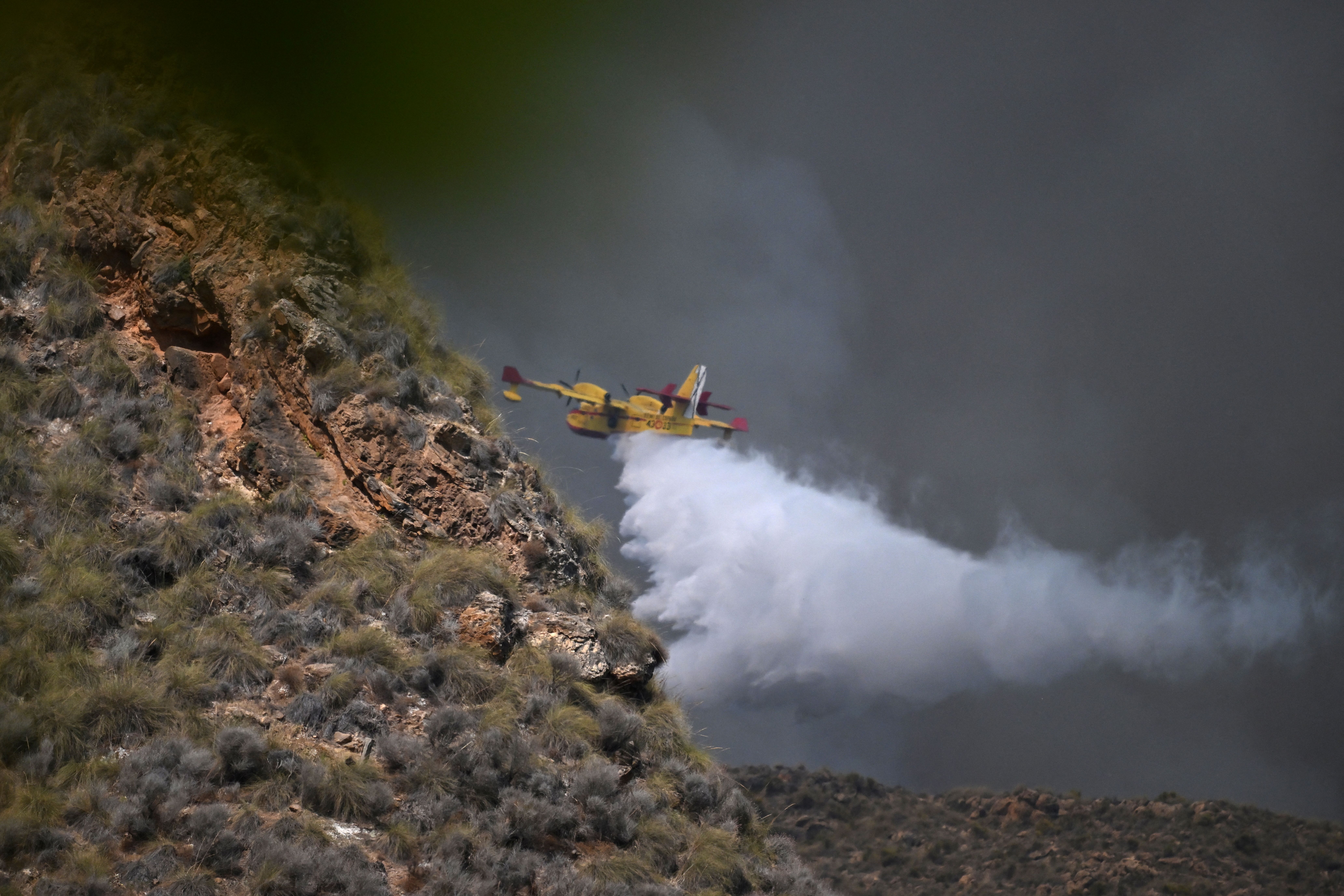 A Canadair water bombing aircraft on the site on a wildfire near Los Gallardos. /Jose Jordan/AFP