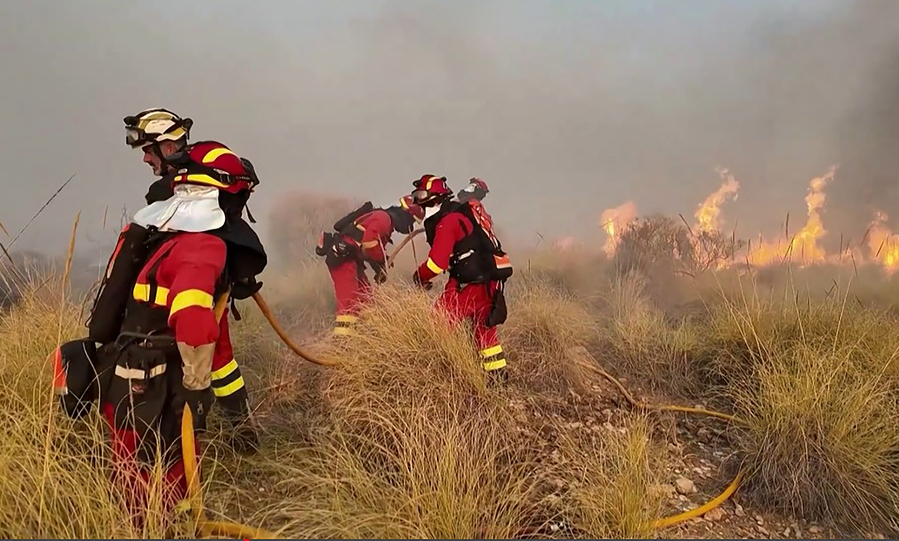 Firefighters working on a wildfire that killed 12 near Bedar, in Los Gallardos district, Almeria Province. /AFP/UME
