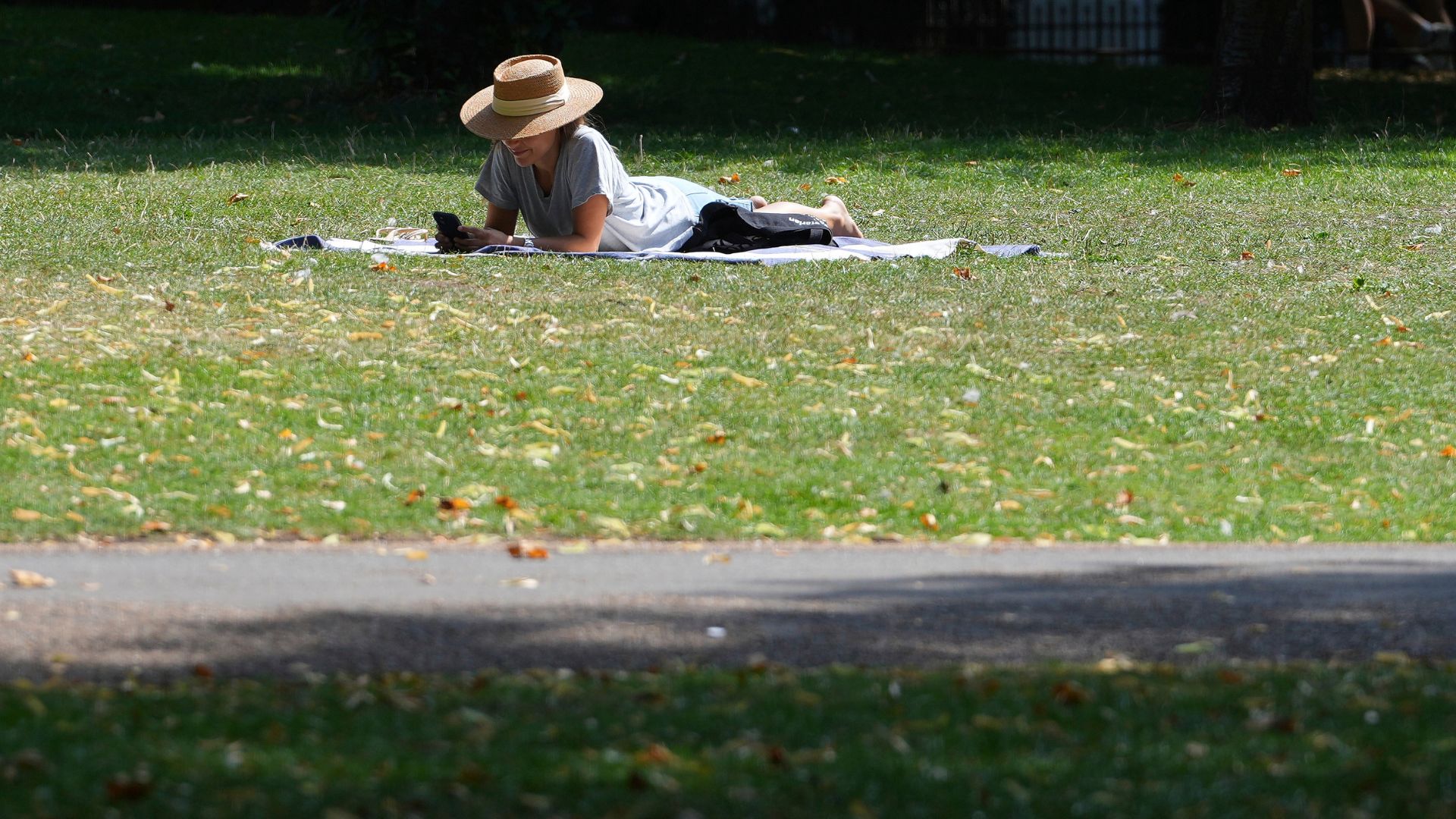 The hot UK weather may bring forward this year's swarming. /AP