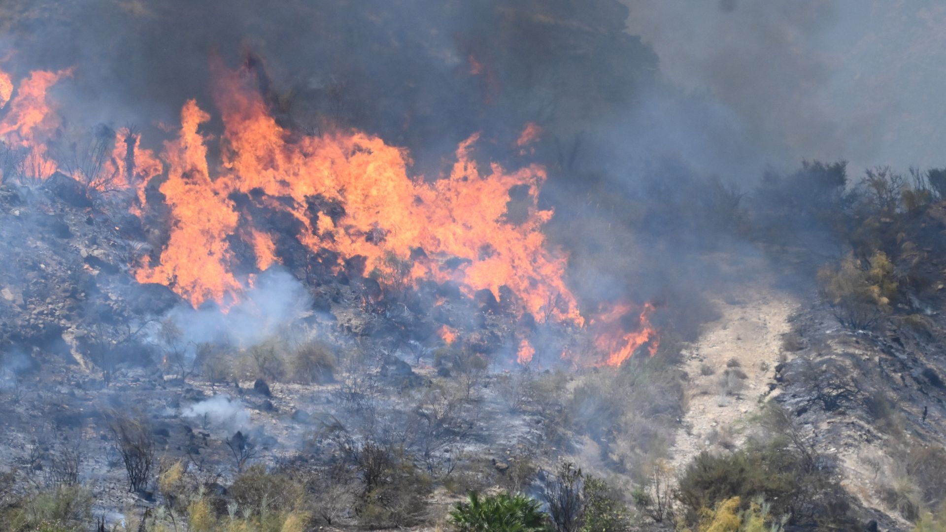 This wildfire killed at least 13 people near Bedar, in Los Gallardos district, in Almeria Province, on July 10. /Jose Jordan/AFP
