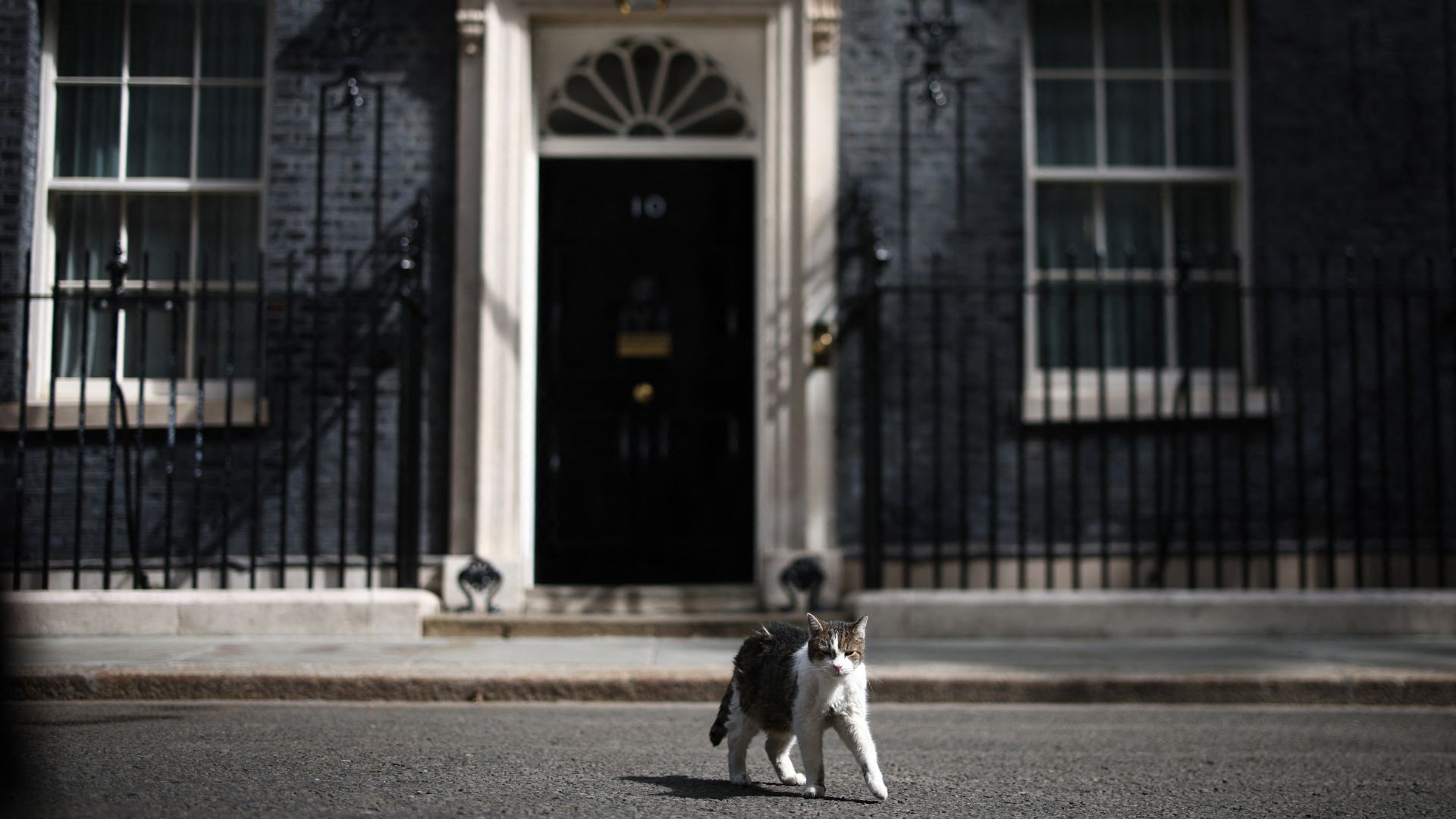 'Politicians come and go': Larry the Downing St cat welcomes 7th PM