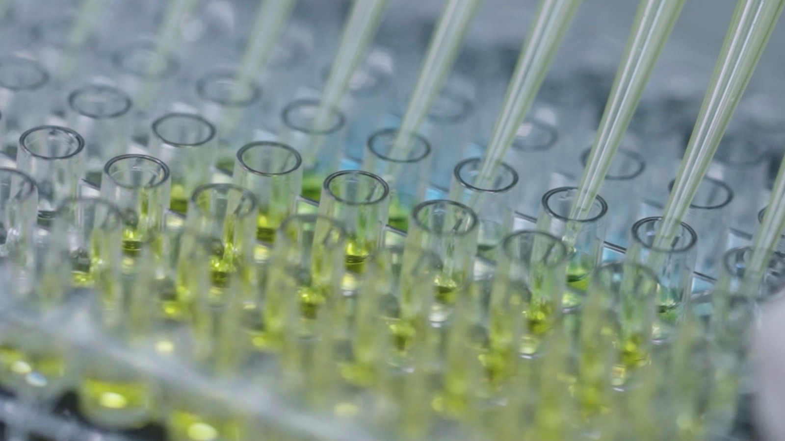 Advances in technology are opening new possibilities and accelerating medical breakthroughs. /CGTN