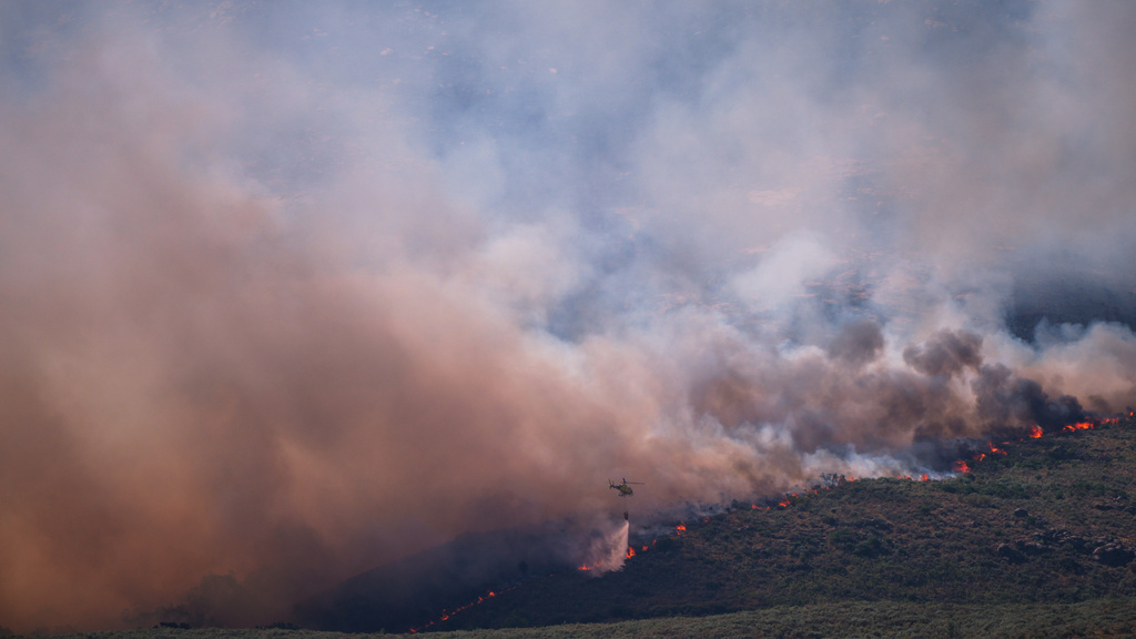 Wildfires: Spain declares national emergency, France asks EU for help