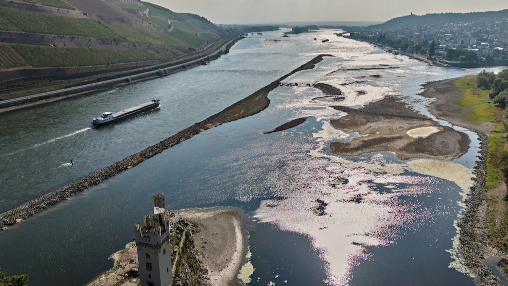 Parts of the River Rhine have dried out after a nationwide hot weather period. /Michael Probst via AP