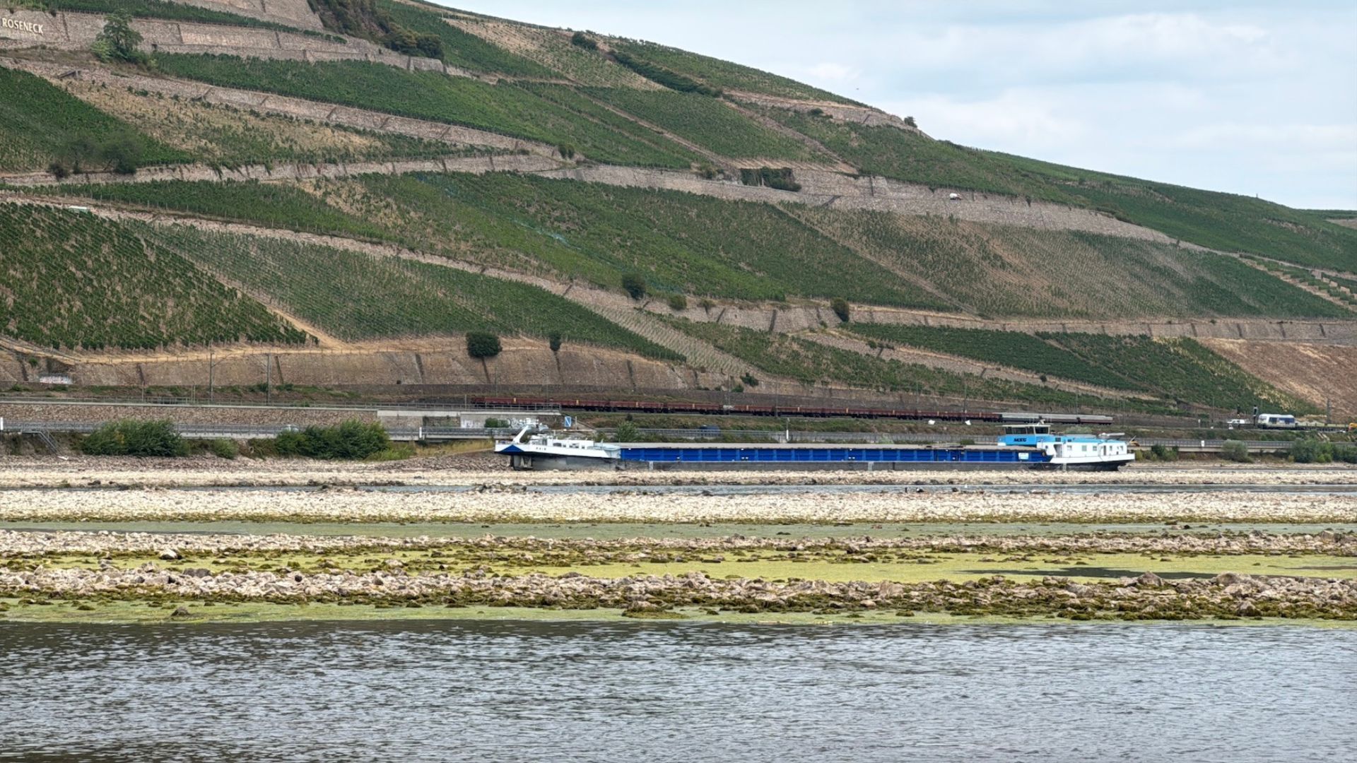 Roughly 200 million tonnes of goods pass through the German-Dutch border on the Rhine annually. /Natalie Carney/CGTN