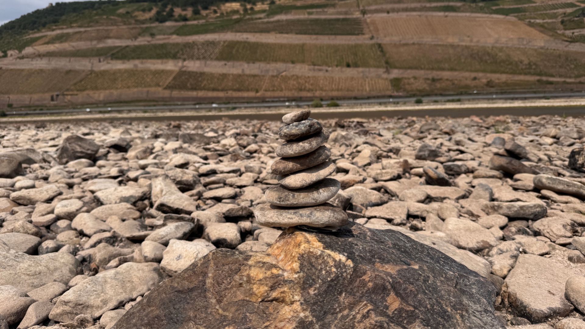 Sections of the Rhine's riverbed have been laid bare, with dry banks in the background emphasising how tough Europe's heatwaves have been on ecosystems across the continent. /Natalie Carney/CGTN