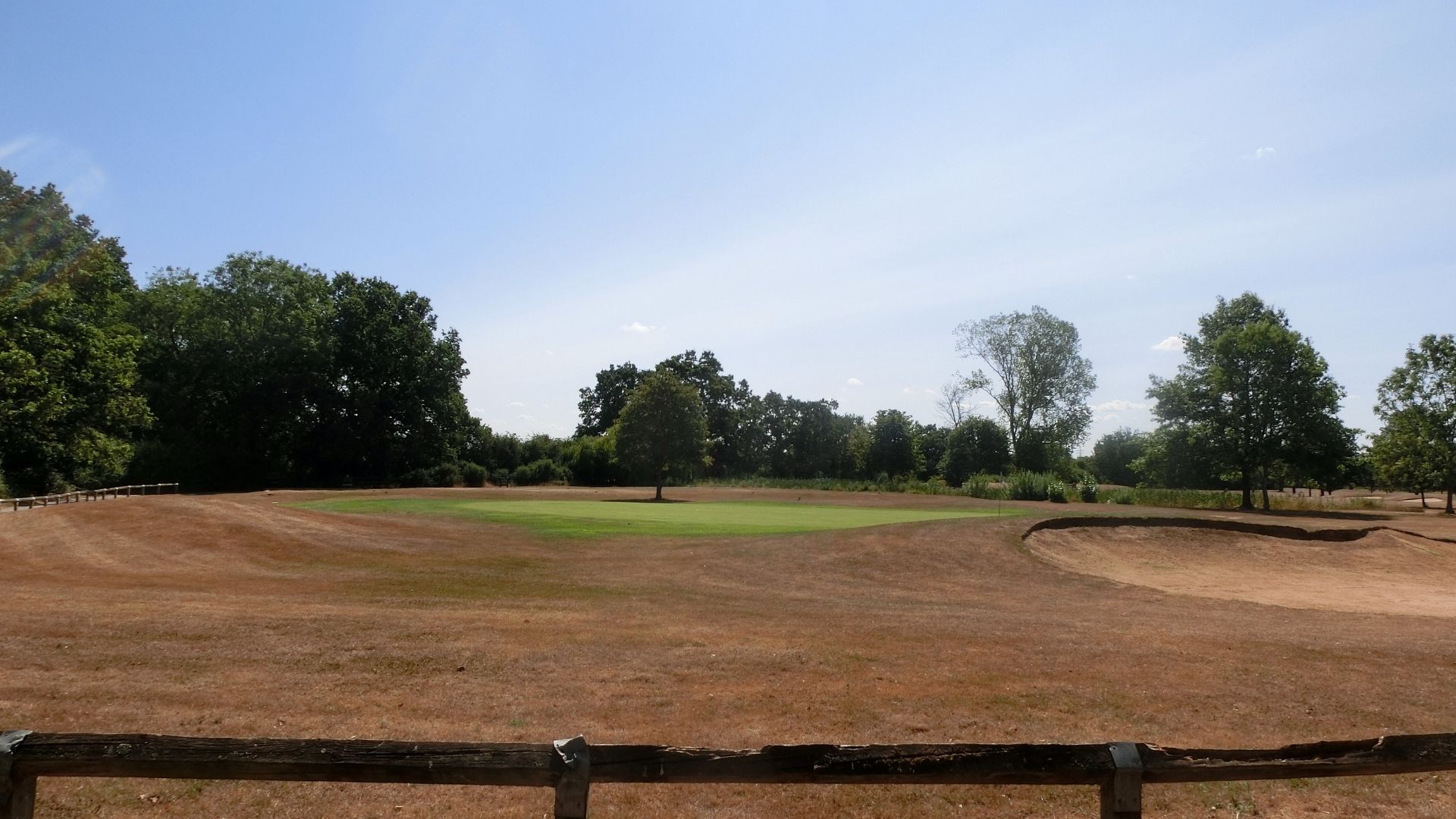 Some golf courses have maintained patches of green grass. Despite much of the UK being under a hosepipe ban, sporting grounds that are actively used for play are exempt. /Emily Duchenne