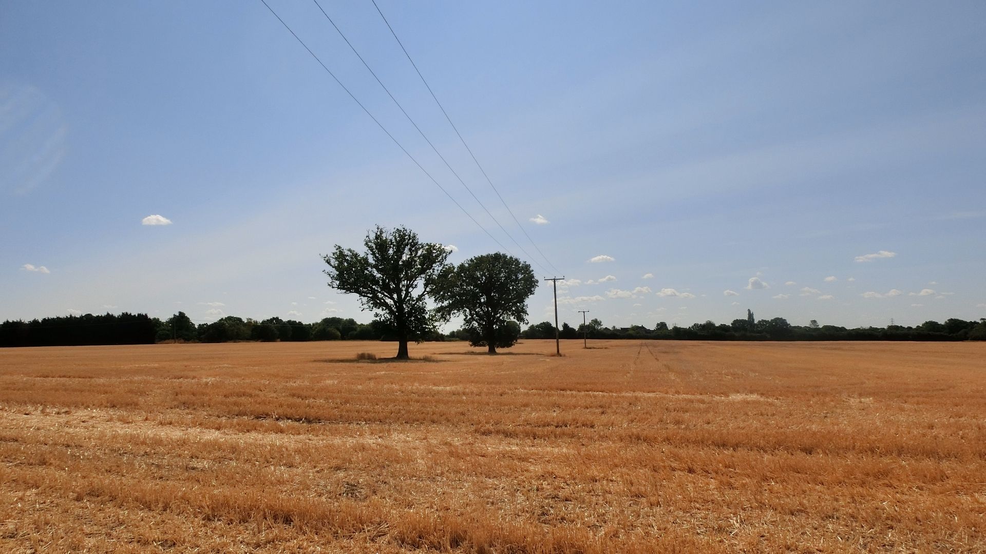 Clear skies show no signs of much-needed rain. /Emily Duchenne