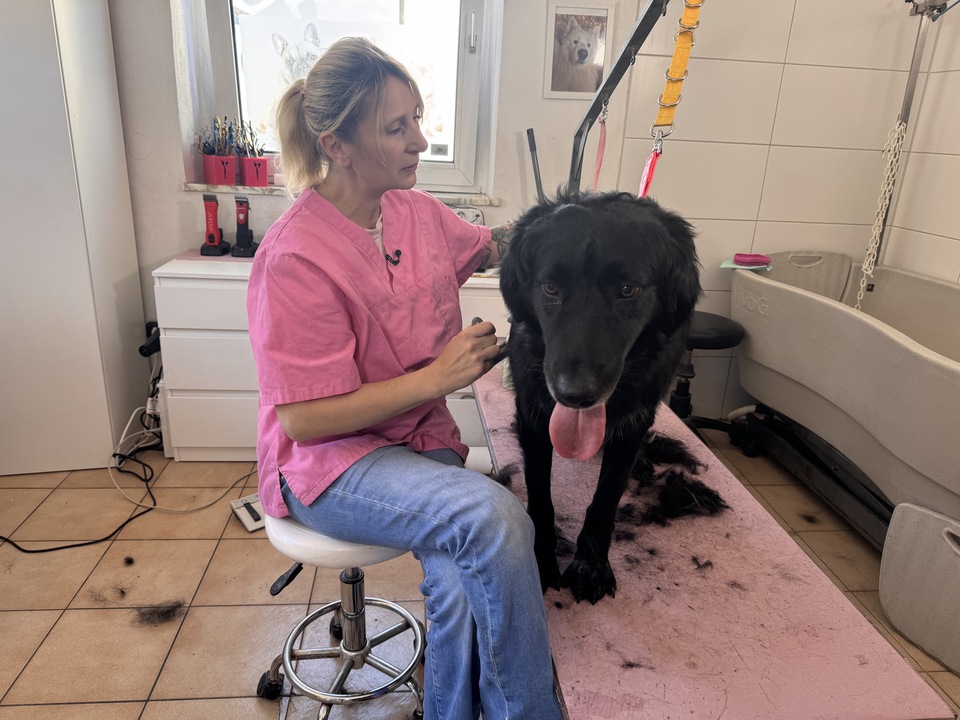Veronika Varga in her dog grooming salon in Vilseck. /CGTN