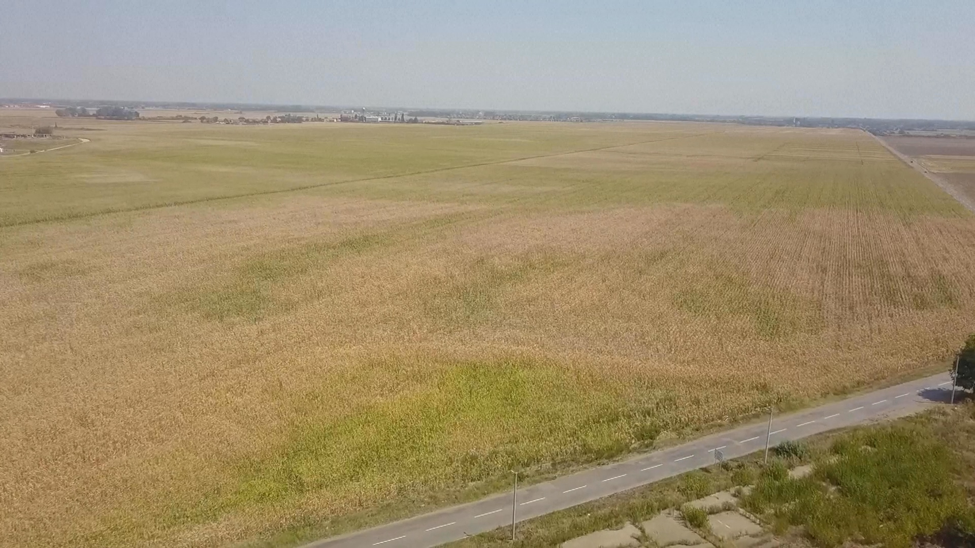 Farmers said severe heat and drought devastated this year's crop in north-eastern Bosnia. /AP