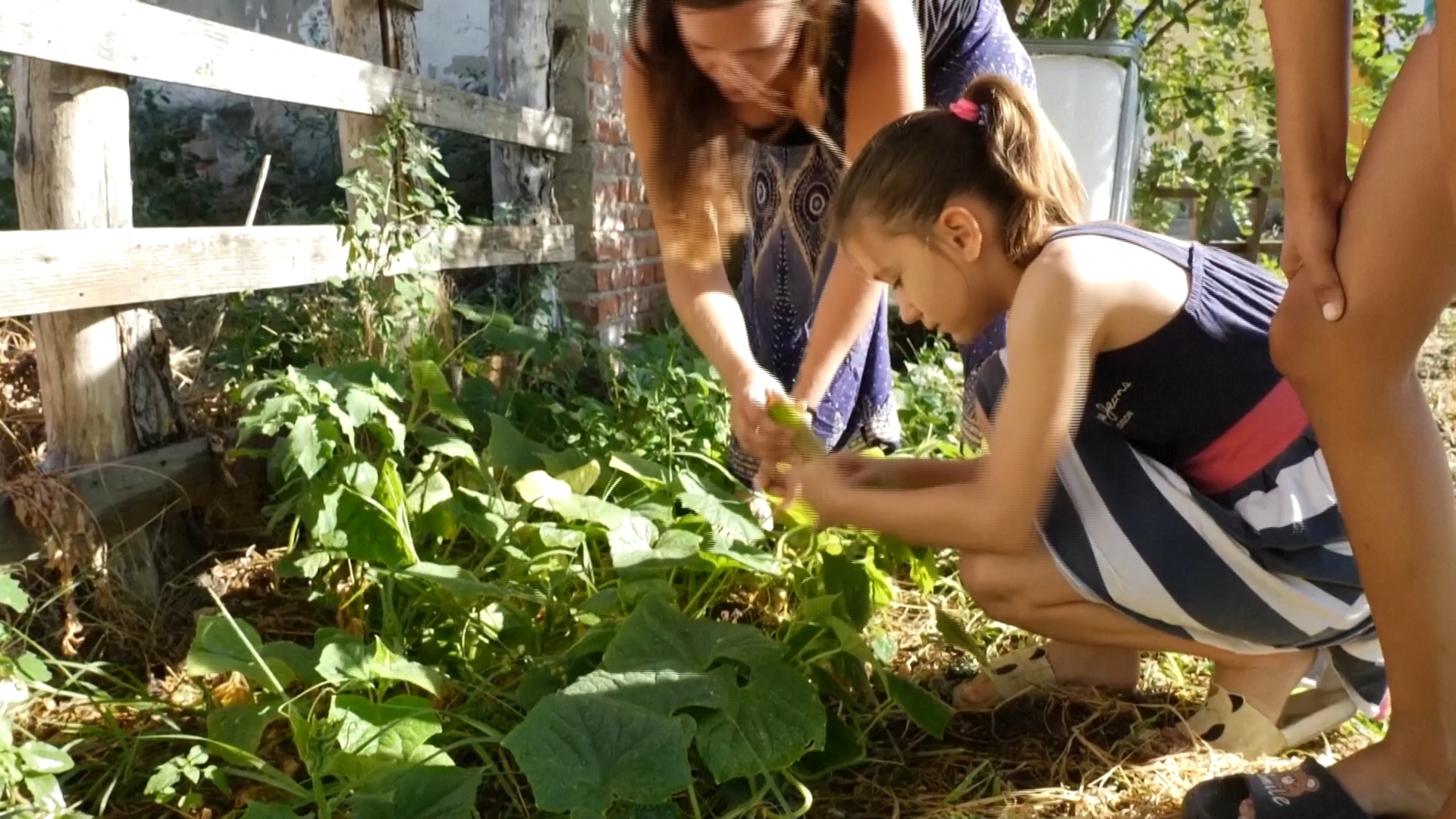 The school promotes climate resilience. /Reuters