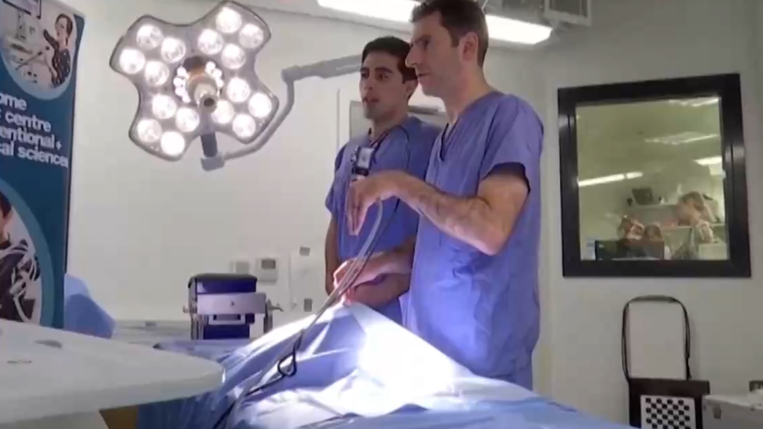 Surgeons use AI assistance to remove brain tumor in world first