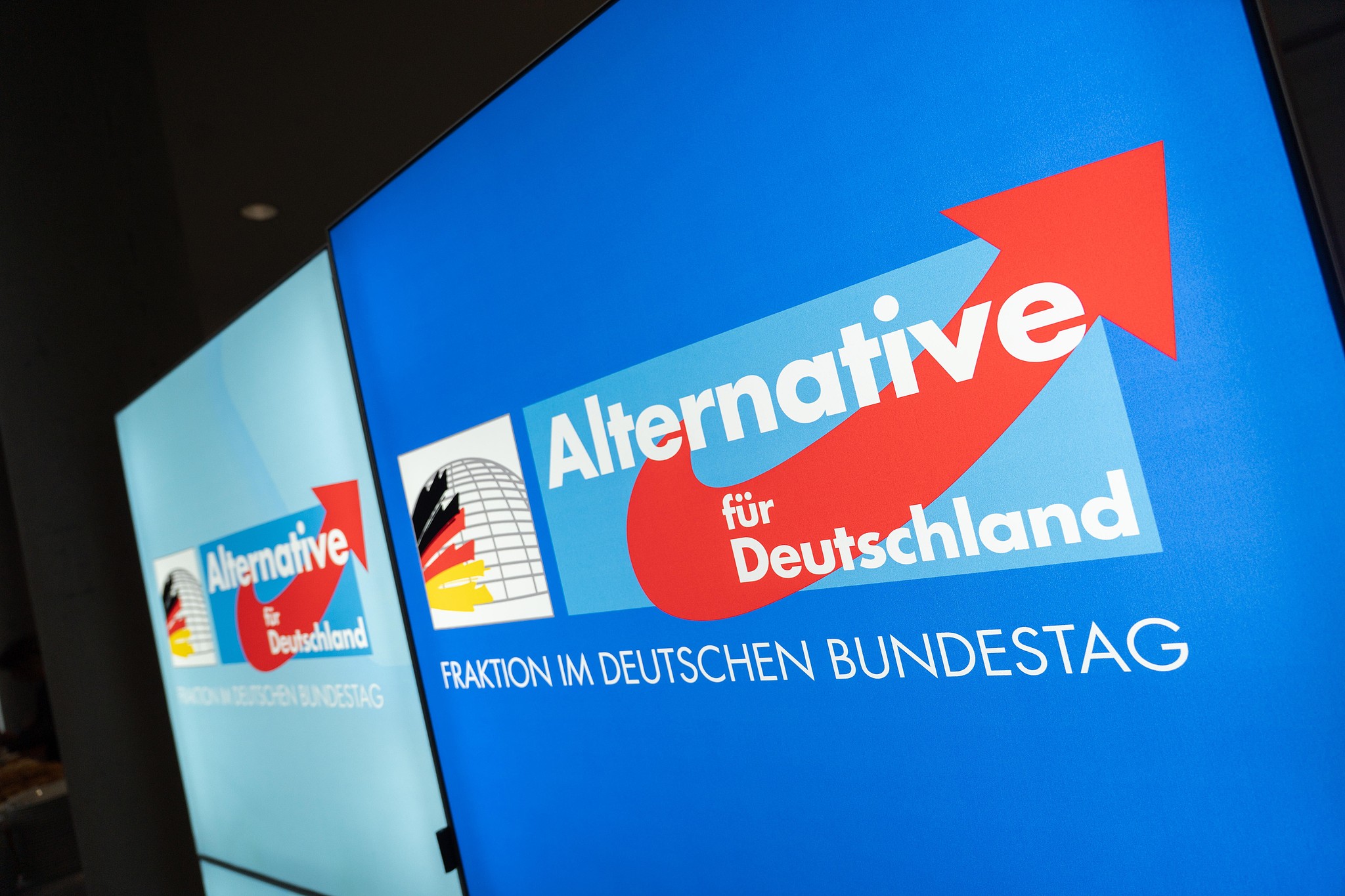 Once a fringe party, Alternative for Germany has been making serious inroads into German politics. /CFP