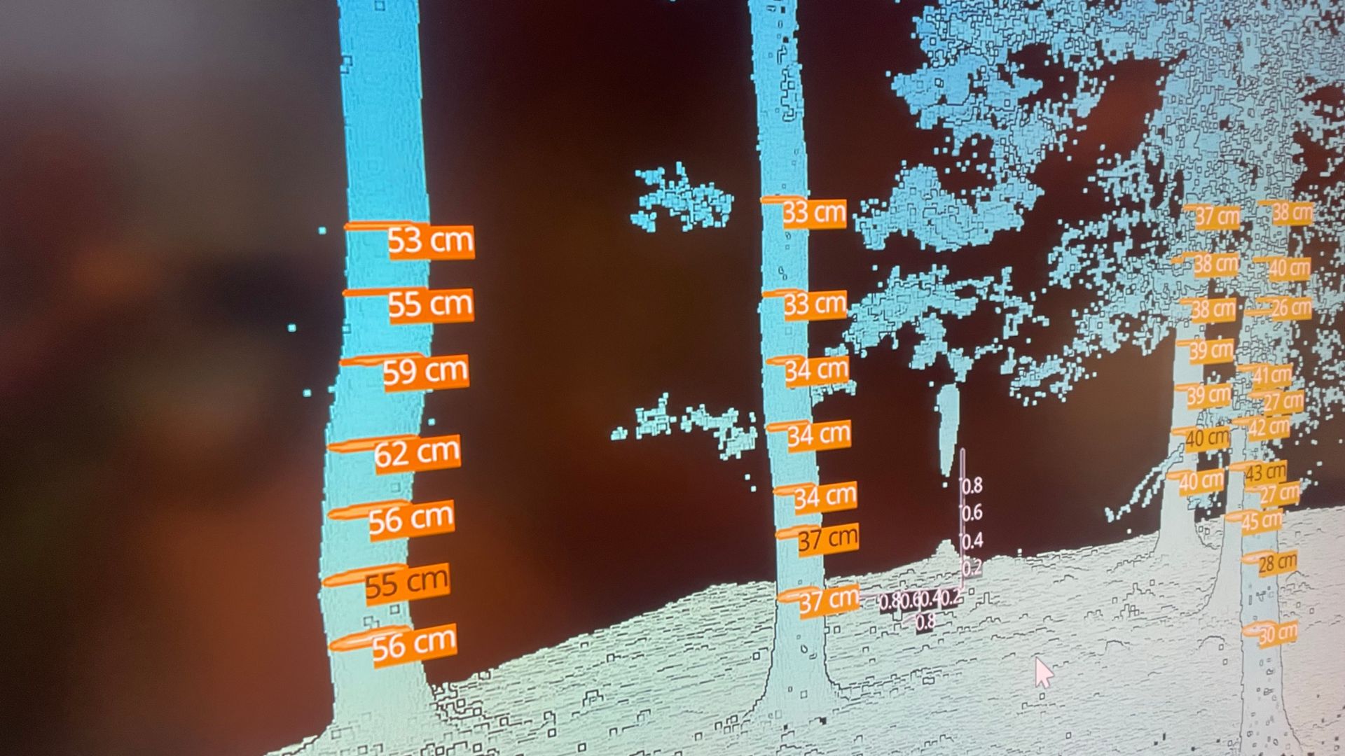 A 'digital twin' of the forest is created, showing how and where a fire can spread. /CGTN