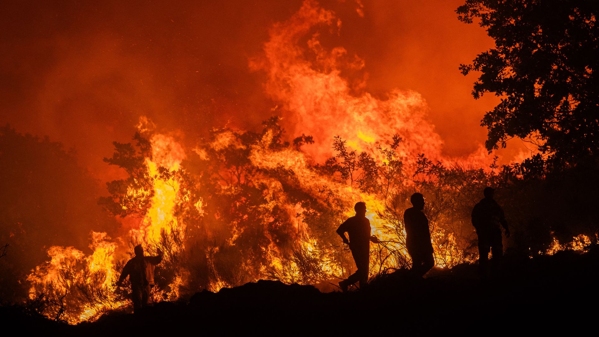 Forest fires like this one in the hamlet of Baltar, close to the town of Xinzo de Limia in the north-west of Spain on September 24, continue to blight the country. /Adrian Irago/AFP