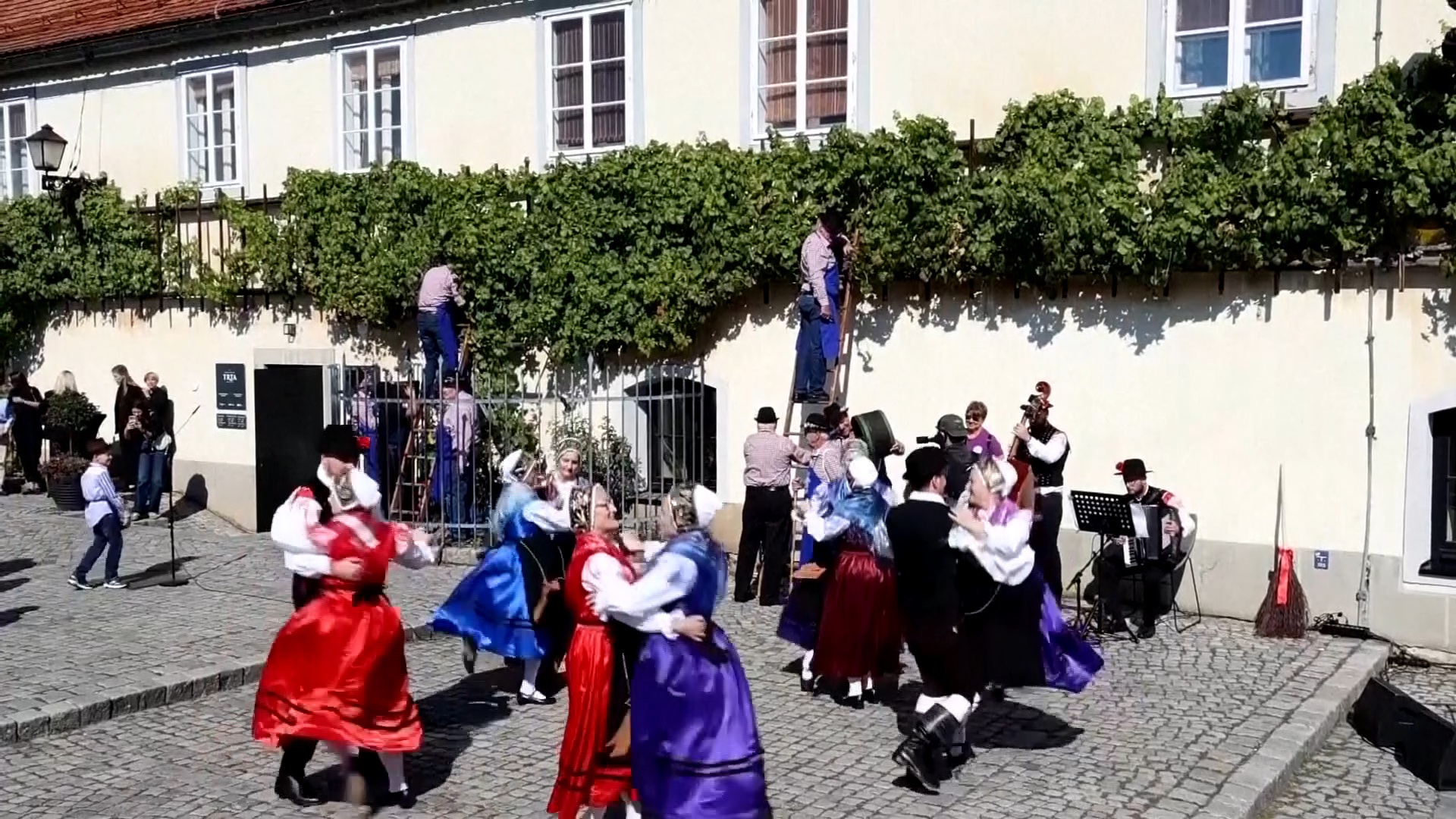 The annual harvest has grown into a celebratory ceremony keeping local traditions alive. /AP