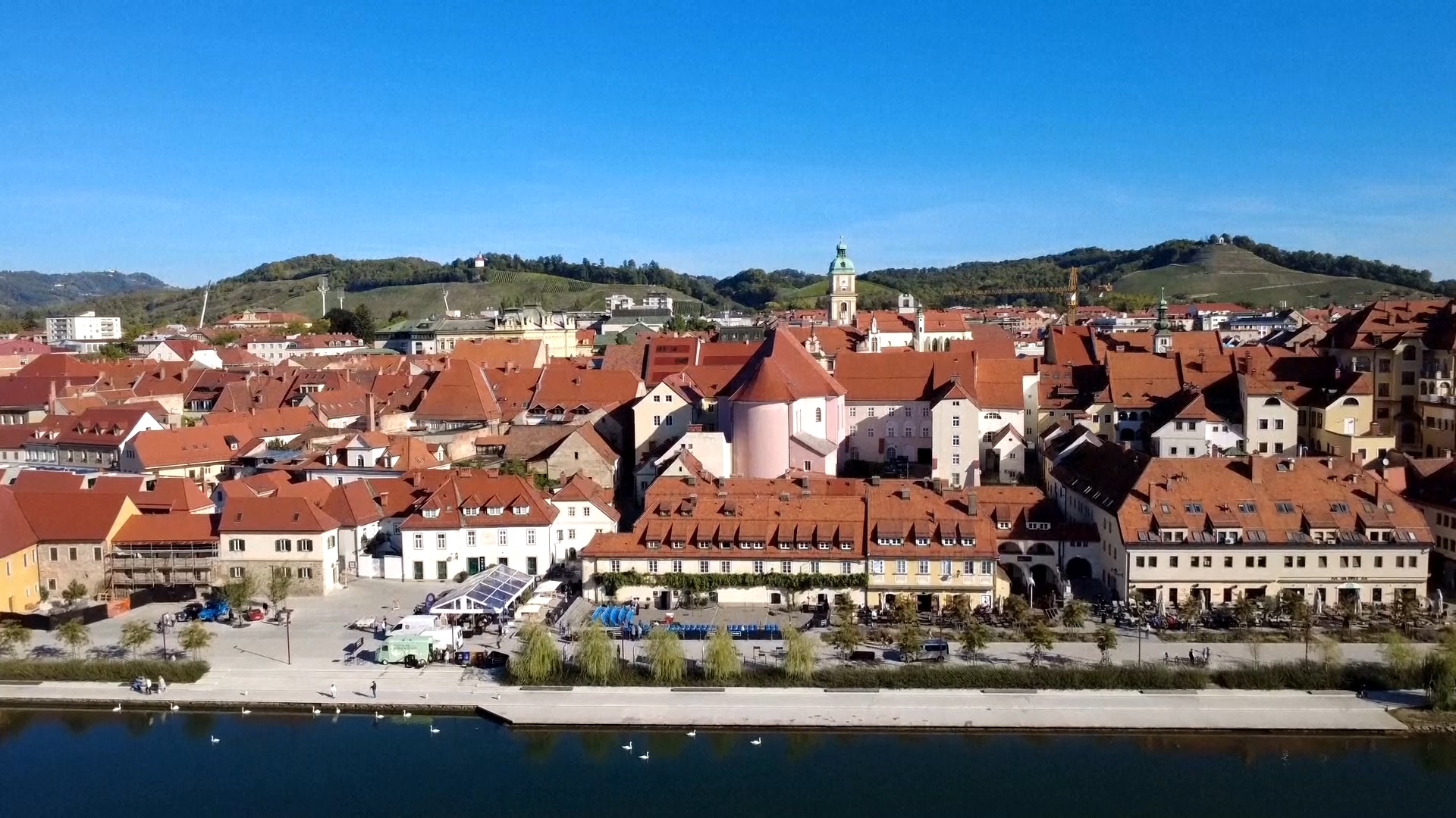 The vine (on the building in the lower center of the photograph) is close to the Drava River. /AP