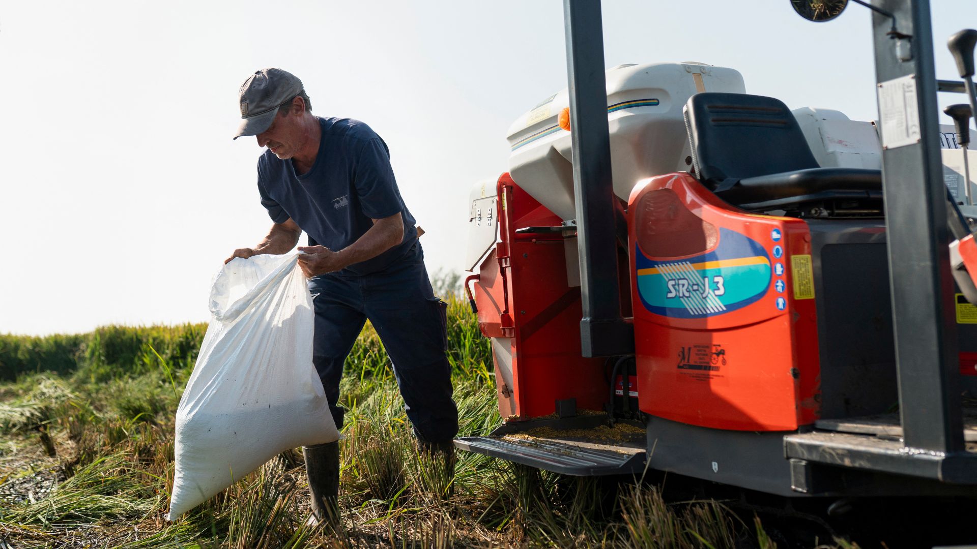 Farmer Sander Roeleveld light-heartedly describes himself as a 'pioneer'. /Lina Selg/AFP