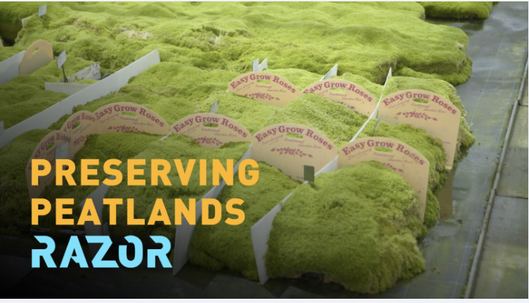 RAZOR: The race to save the peatlands