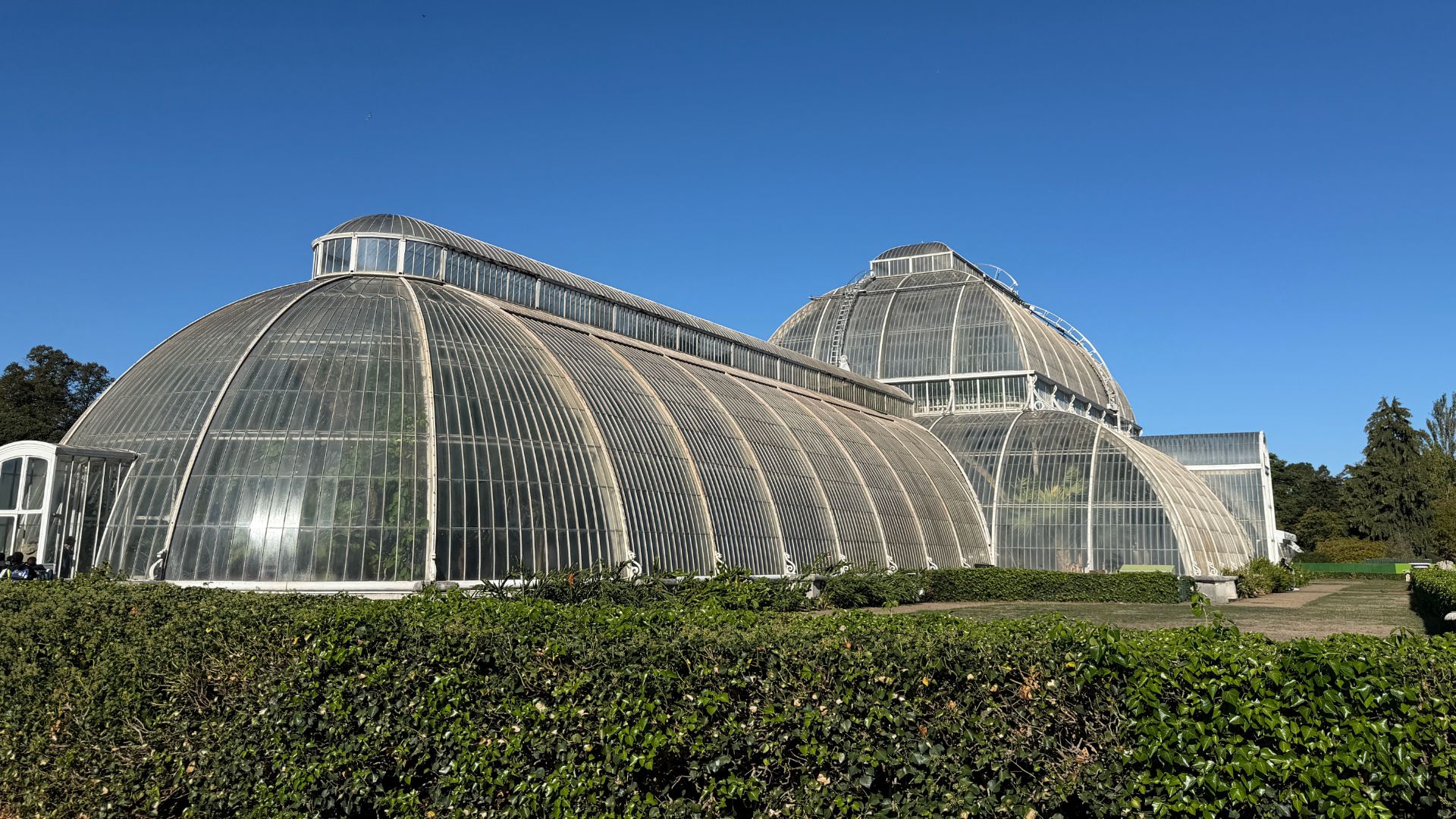 Science and nature: Kew Gardens fundraiser for tropical Palm House