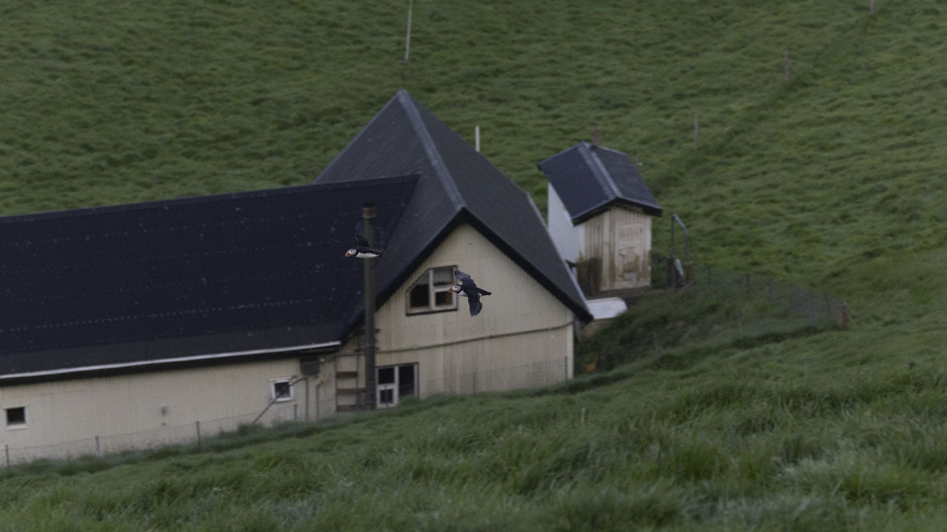 The house was built in the 1950s. /Emin Yogurtcuoglu/Anadolu Agency via Getty Images