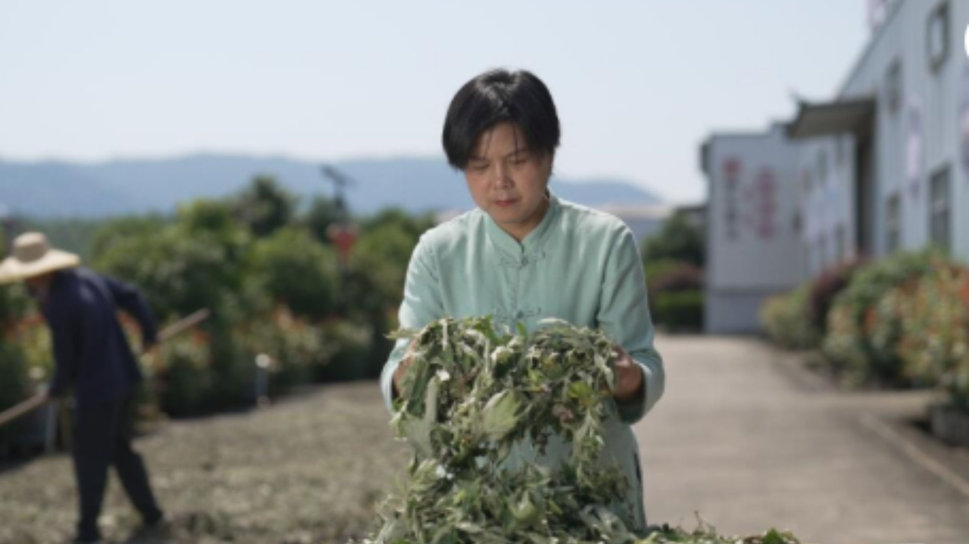 Yu Jinxiu has used her moxibustion therapy skills to promote rural employment for Chinese women. /UN FAO via Xinhua Agency