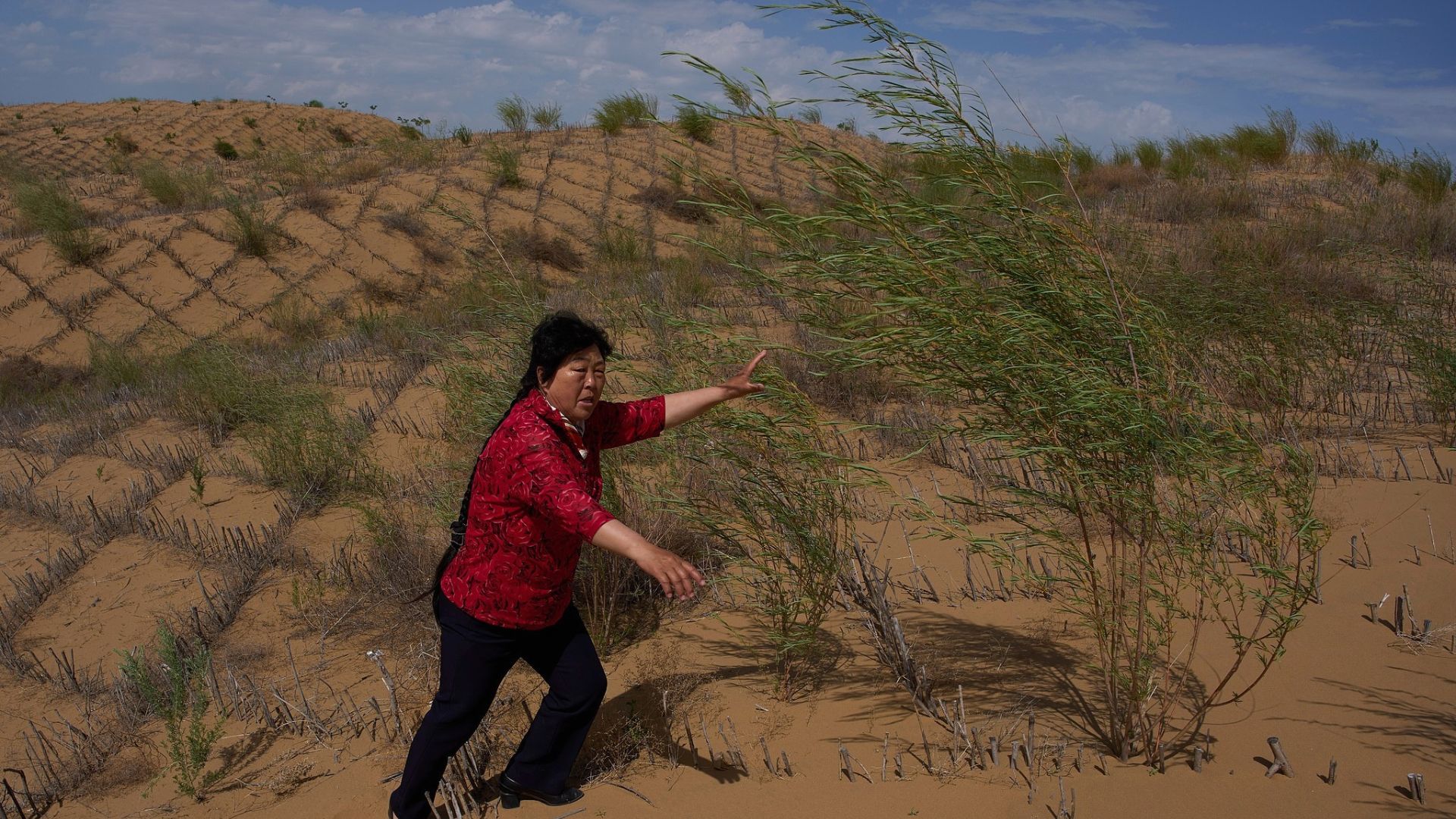 Yin Yuzhen's grass checkerboard design has been instrumental in the fight against desertification in Inner Mongolia. /CFP
