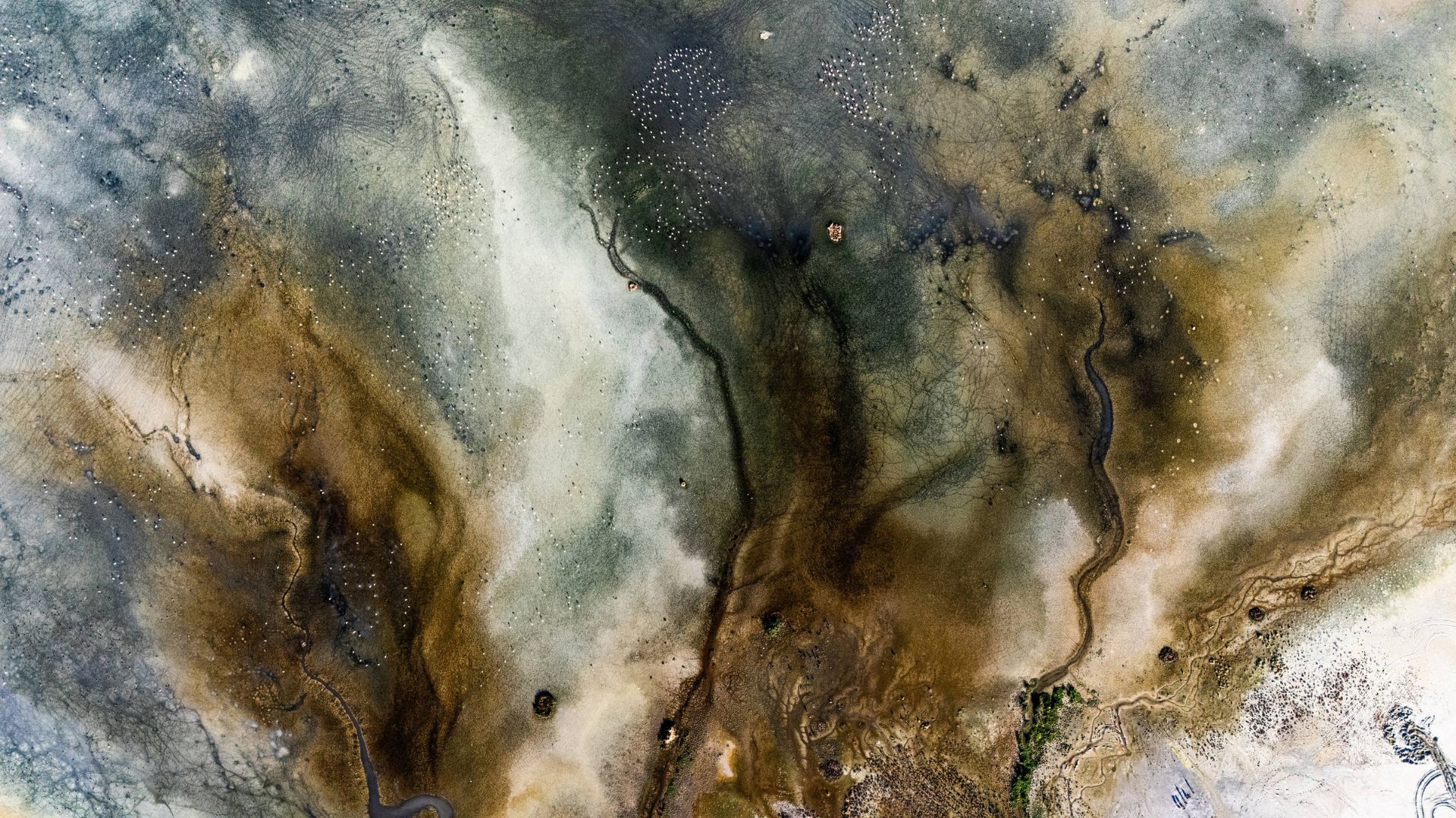 Aerial photograph of rivers flowing into the lake, a stark symbol of a growing water crisis. /Ozan Kose/AFP
