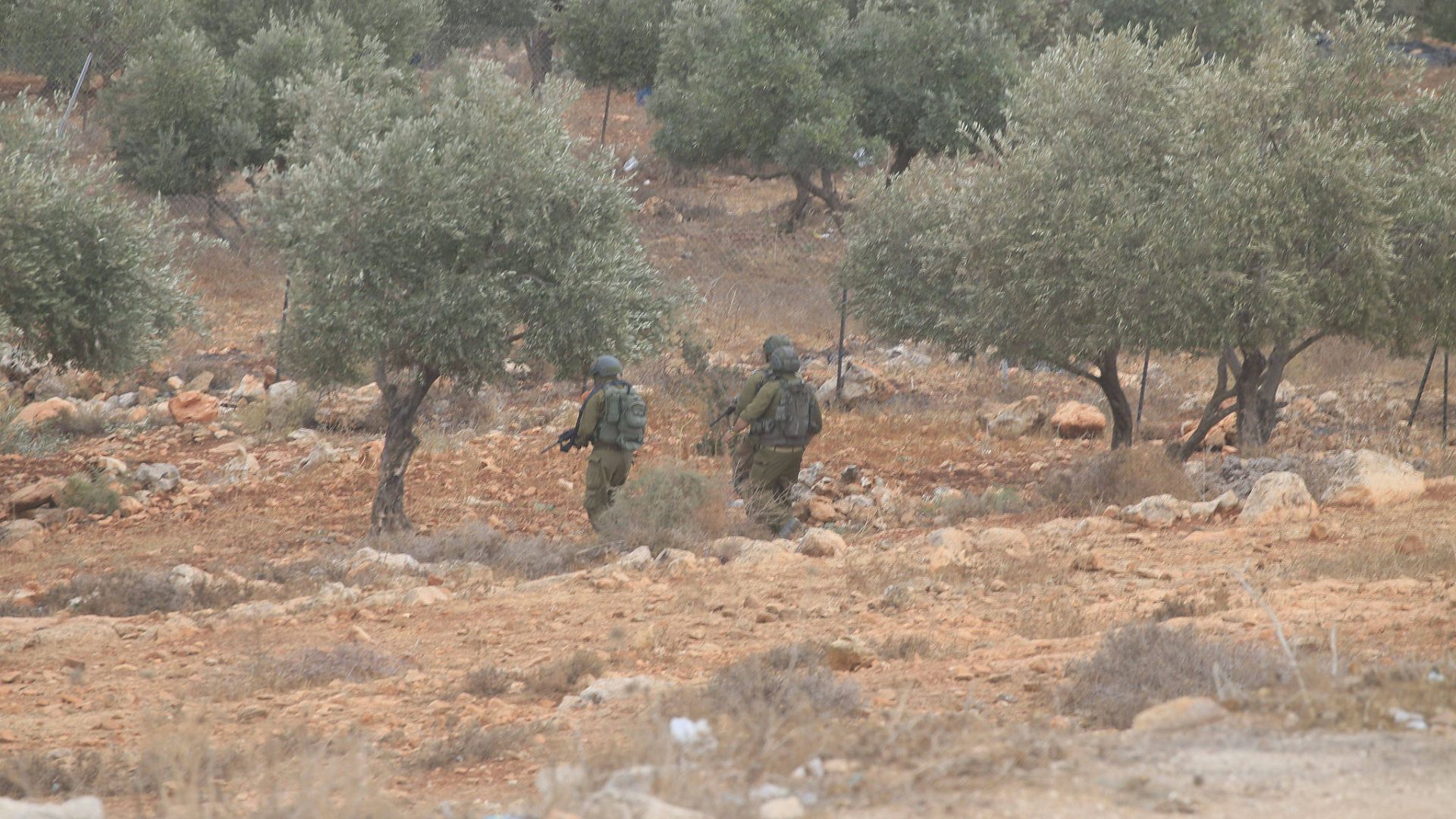 Israeli soldiers chase Palestinian farmers through olive groves in the village of Salem, on October 18, 2026. According to local sources, Israeli forces also confiscated olives collected by the farmers. /CFP.