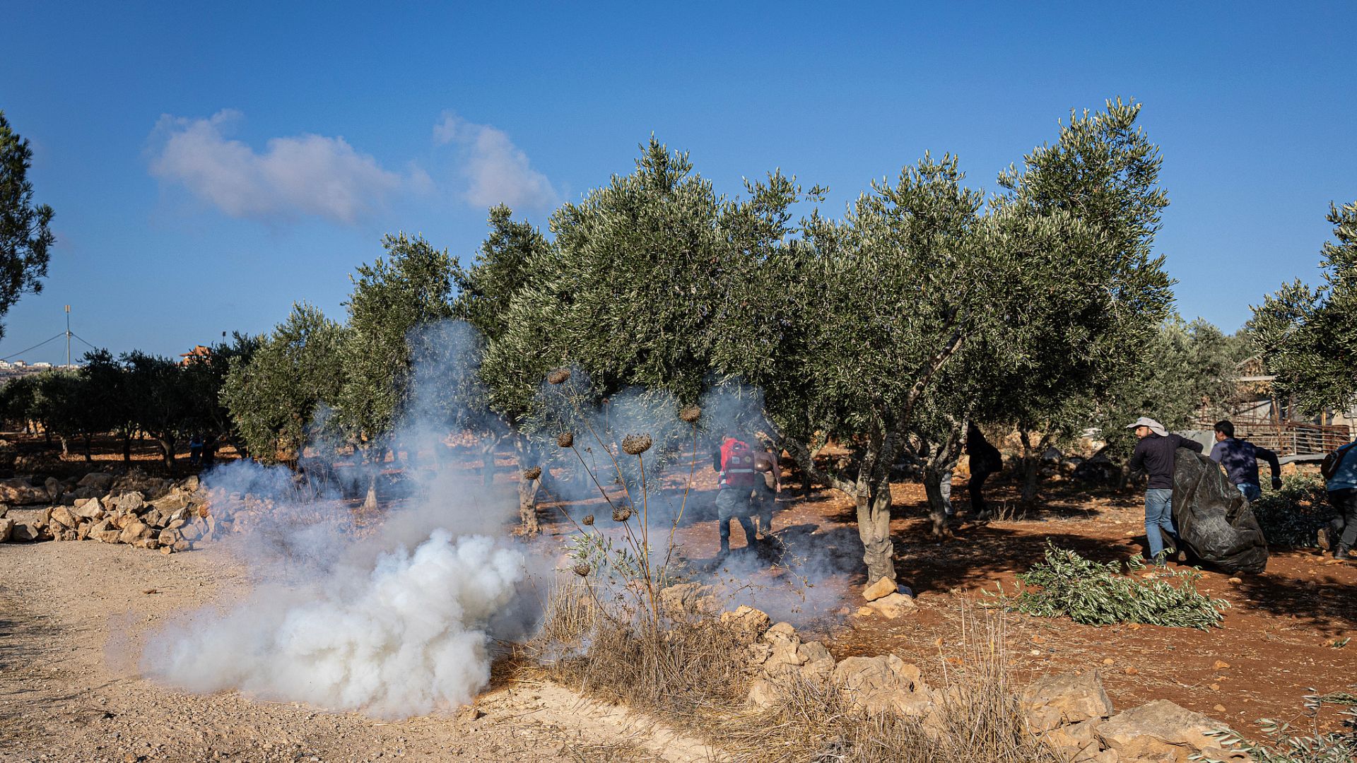 The harvest has become a new front line of Israel's illegal settlements and occupation of the West Bank. Here, tear gas fires from the Israeli military onto Palestinian farmers. /CFP